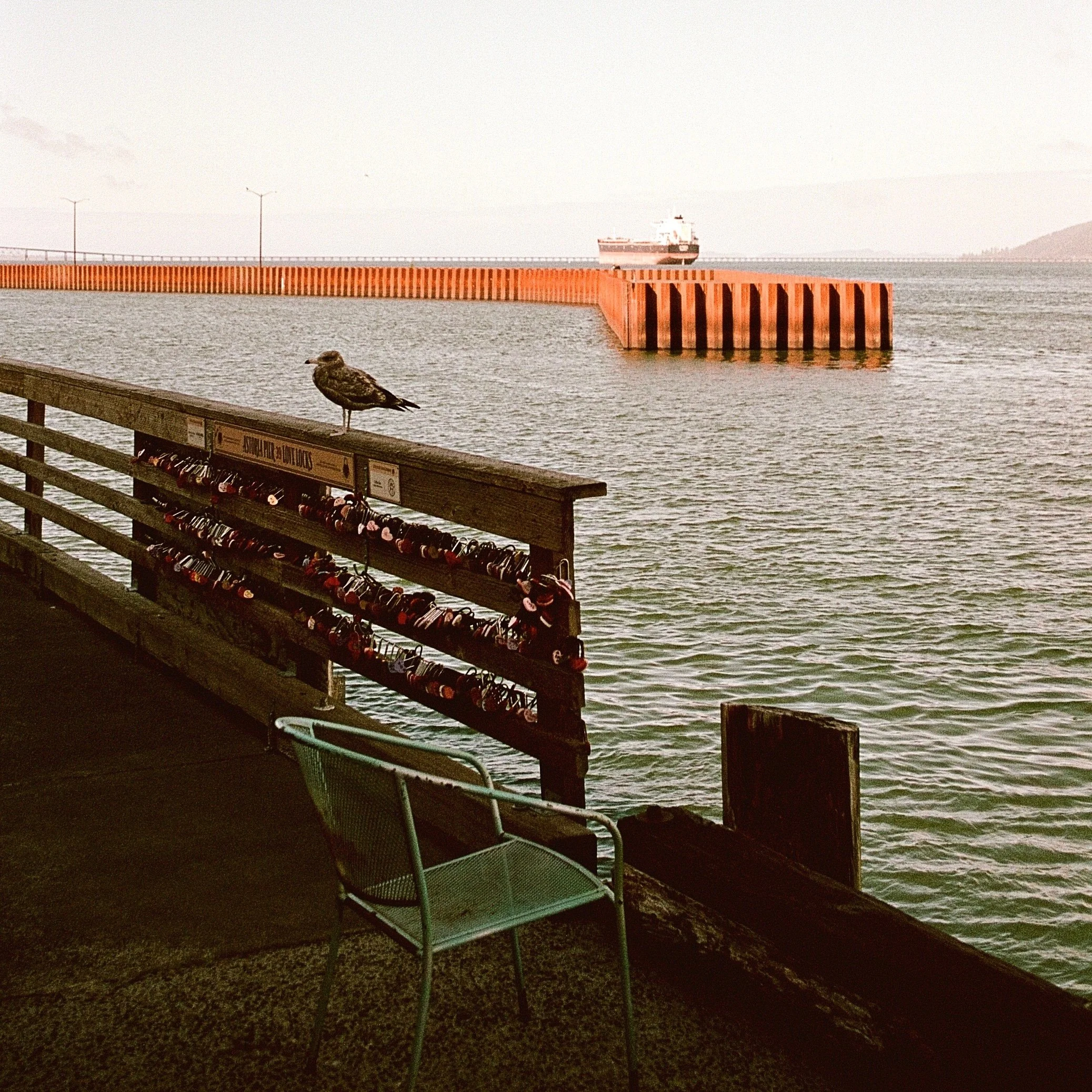 Friday backup cover art.jpeg