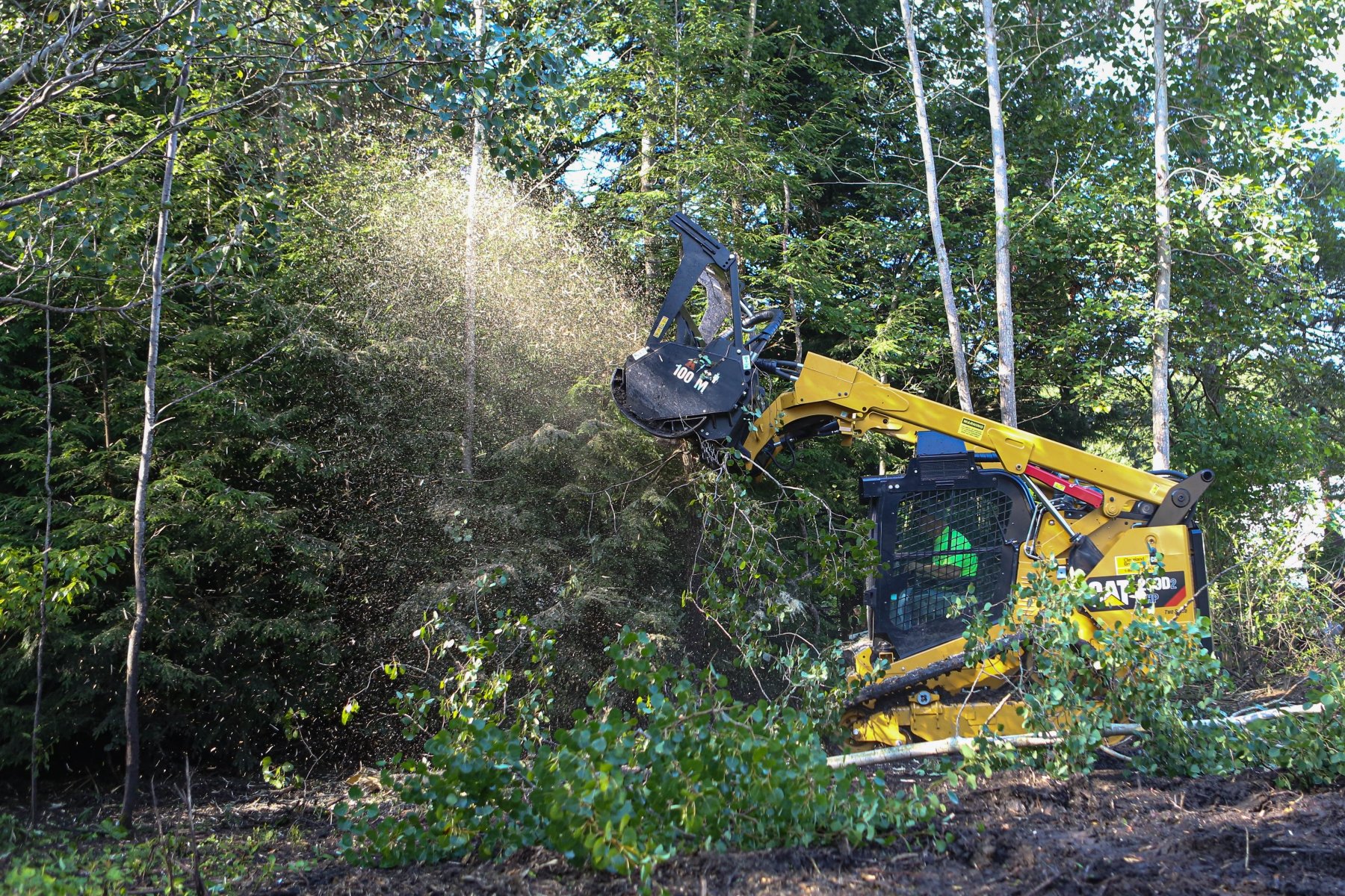 Forestry Mulching