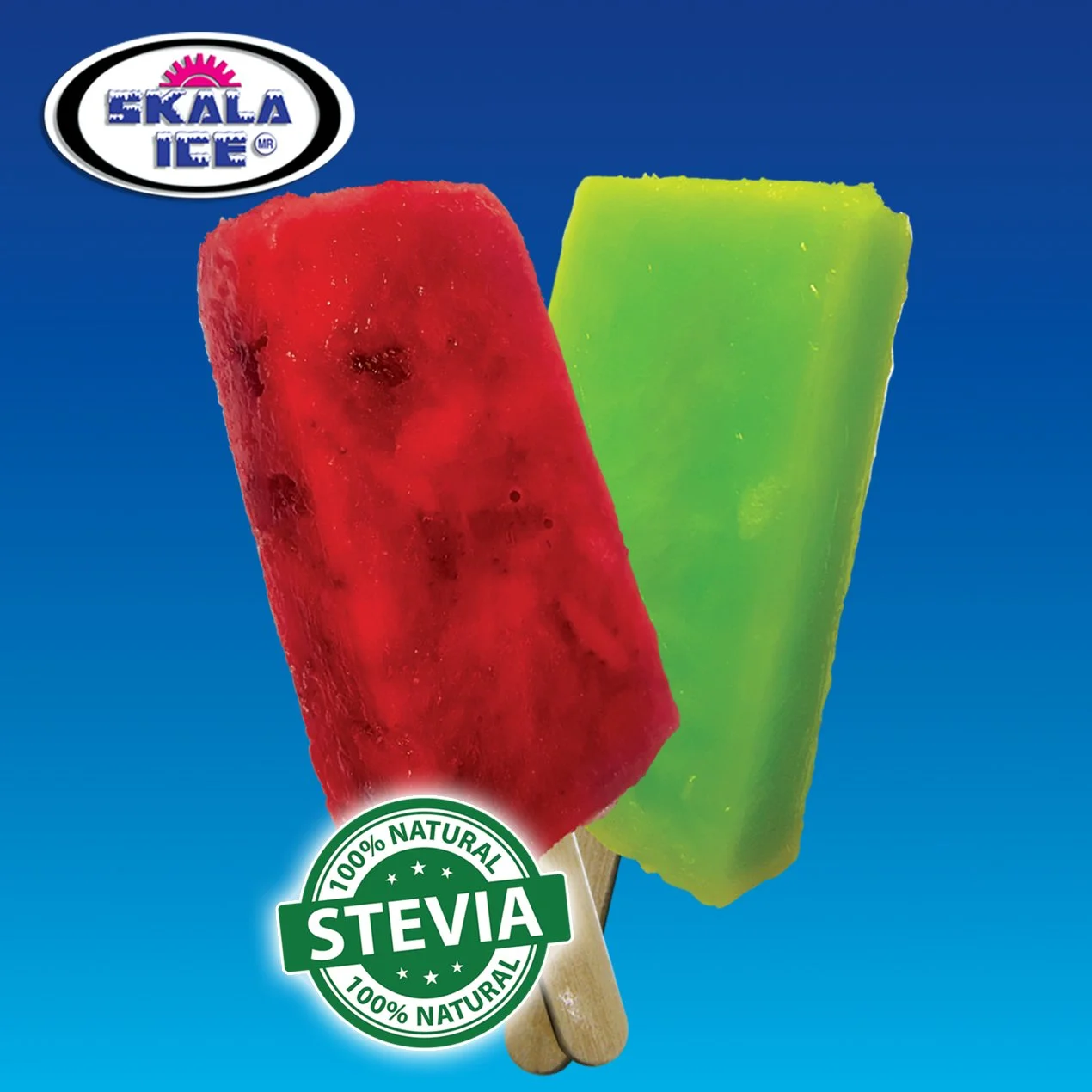 IGLOO DE STEVIA 5.jpg