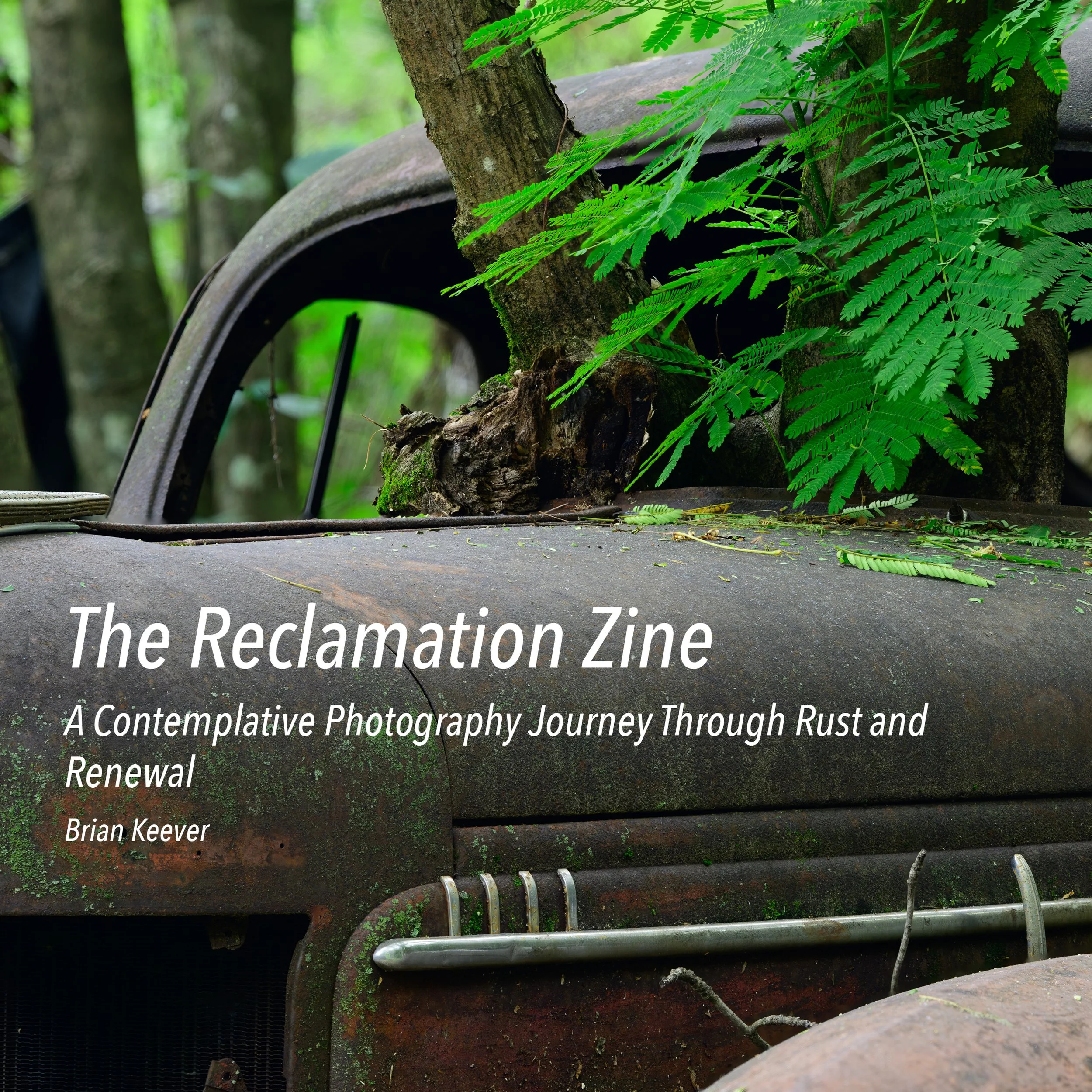 Close-up of a rusty, old, abandoned vehicle in a forest, with tree roots and green fern leaves growing over it.