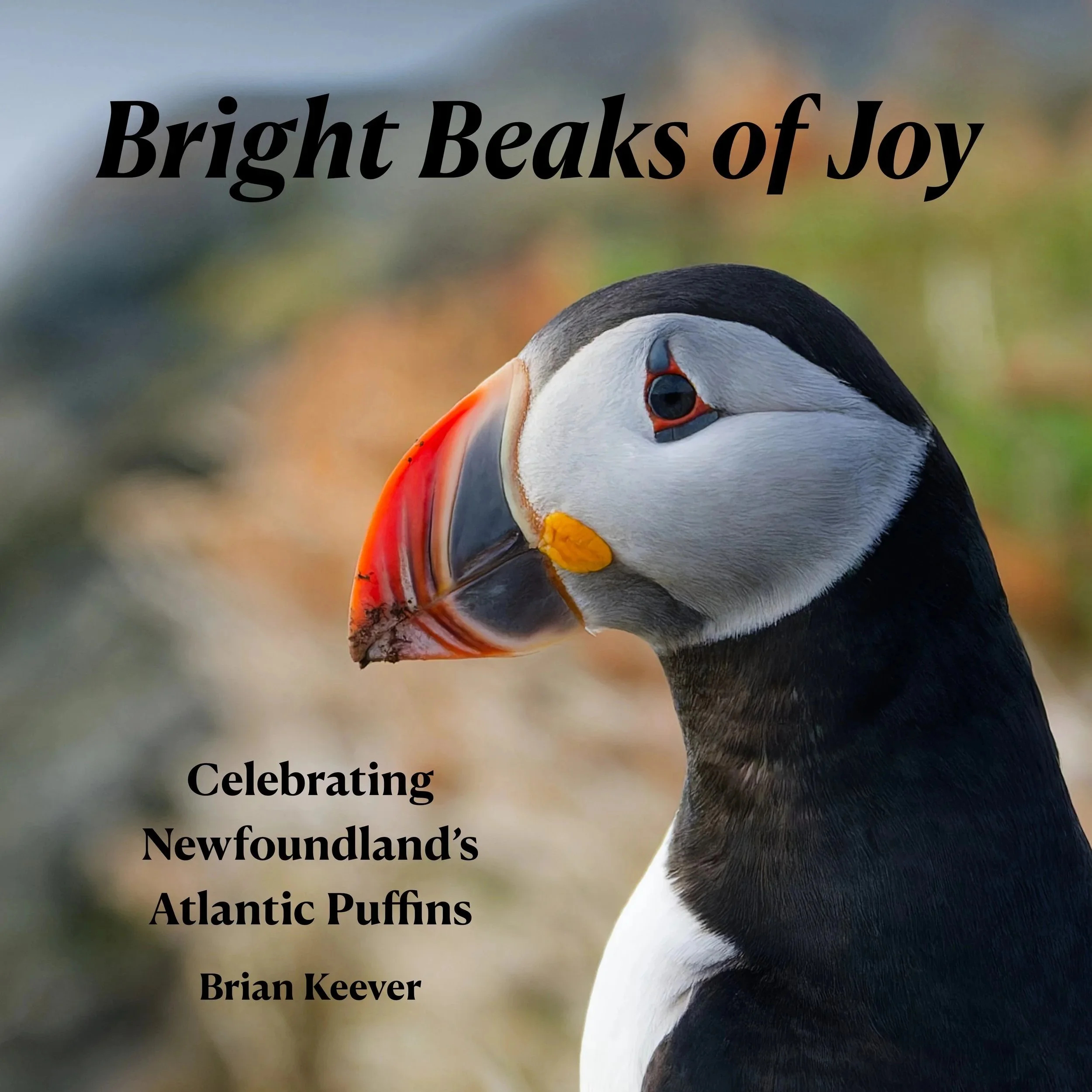 Bright Beaks of Joy: Celebrating Newfoundland’s Atlantic Puffins