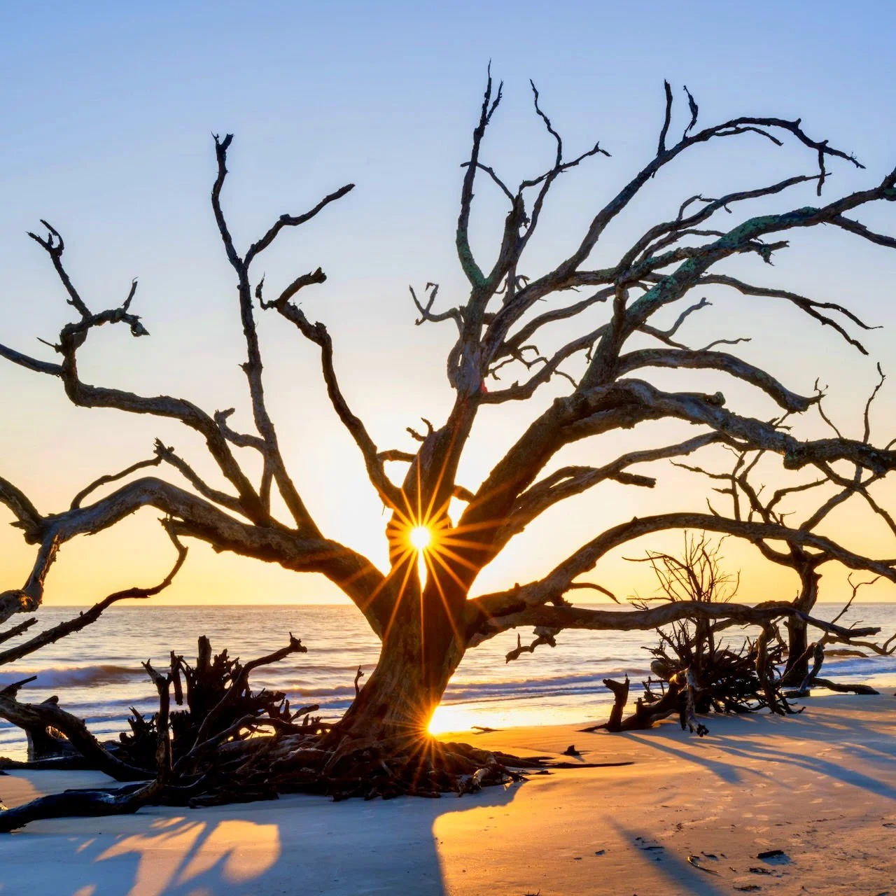 Landscape Photography