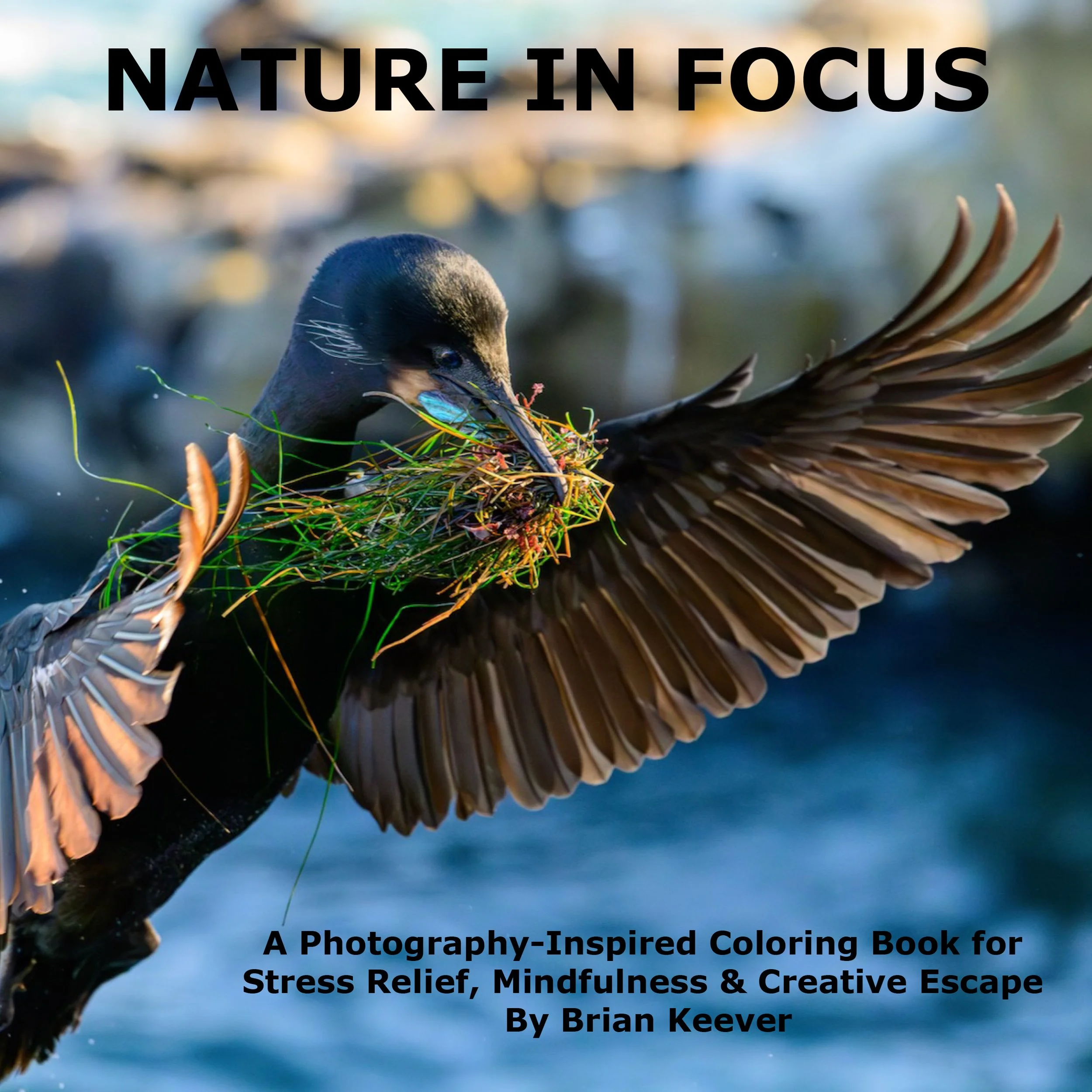 A bird appears to be floating on water with a nest made of grass and twigs on its back; the image is used as a cover for a photography-inspired coloring book titled 'Nature in Focus' by Brian Keever, promoting stress relief, mindfulness, and creative escape.