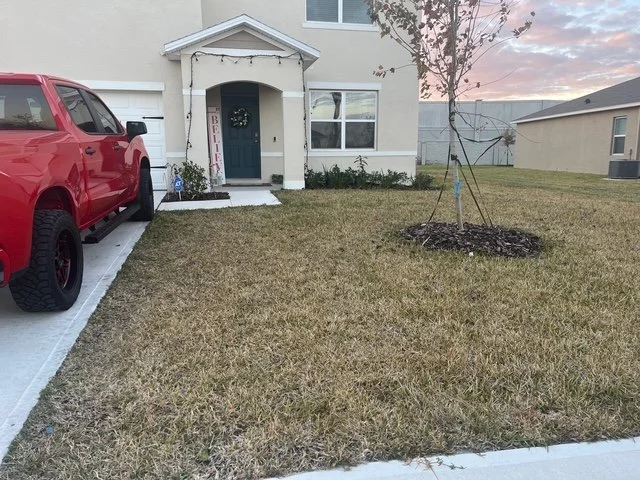 Blank Front yard 