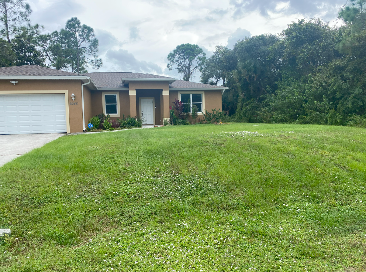 Blank Front Yard
