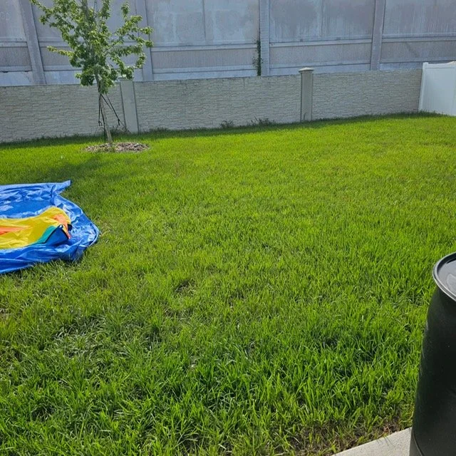 Blank Back Yard 