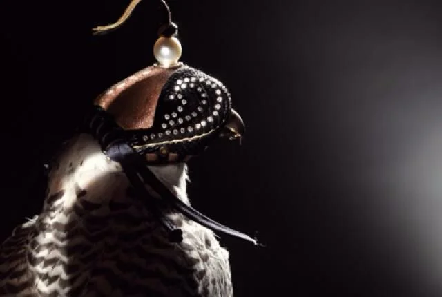 The Precision Project