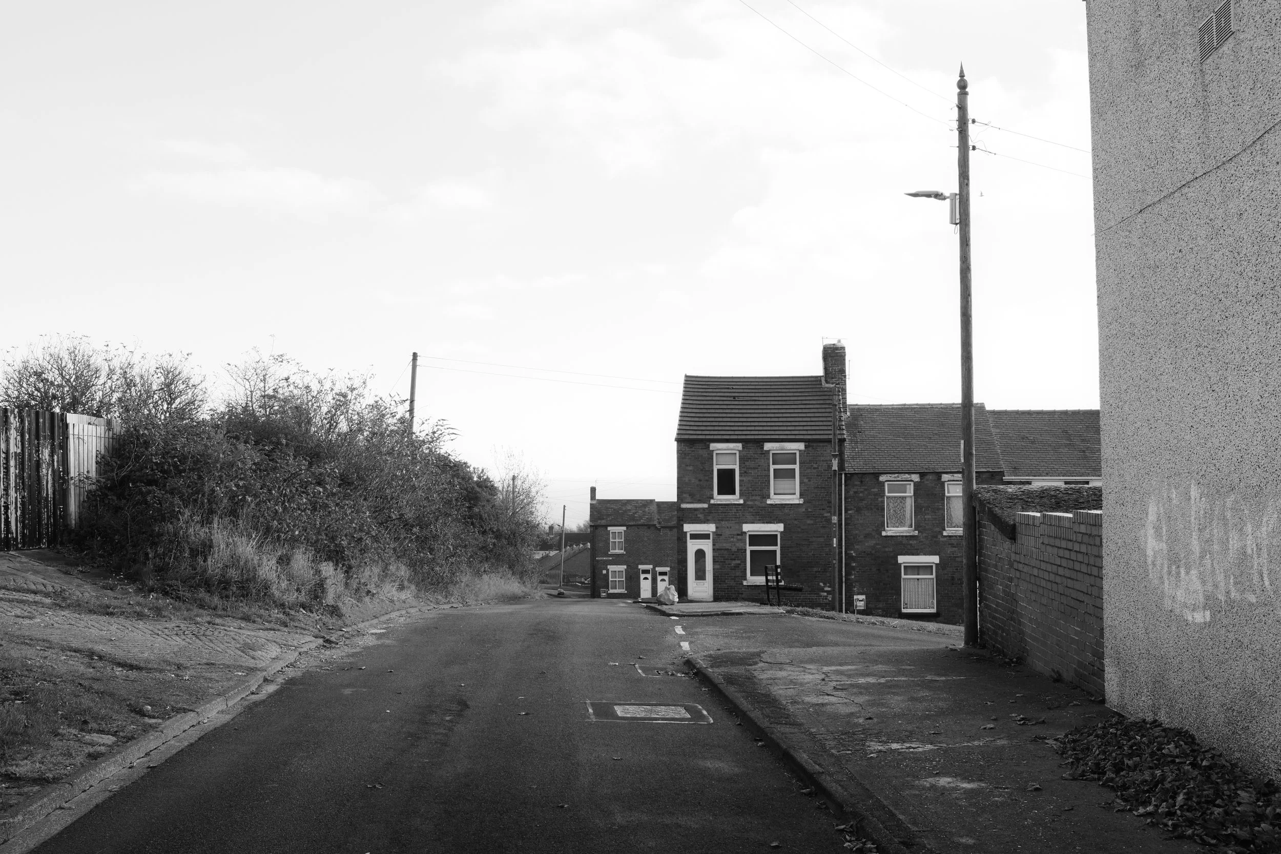 DSCF1674.jpg