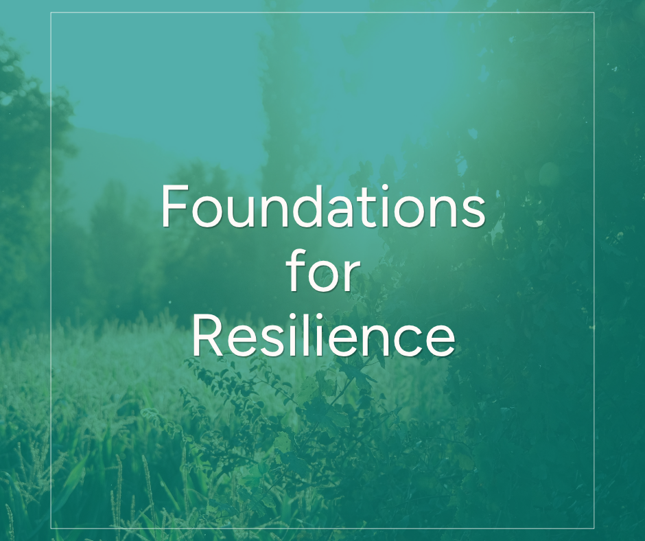 Foundations for Resilence