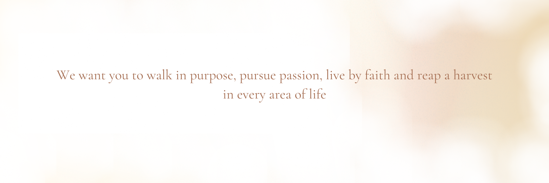 home page section one_rvsd5.png