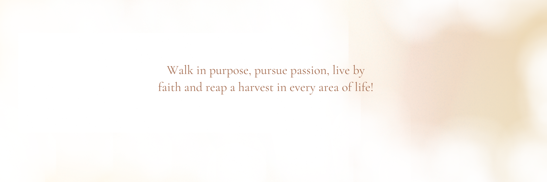 home page section one_rvsd10.png