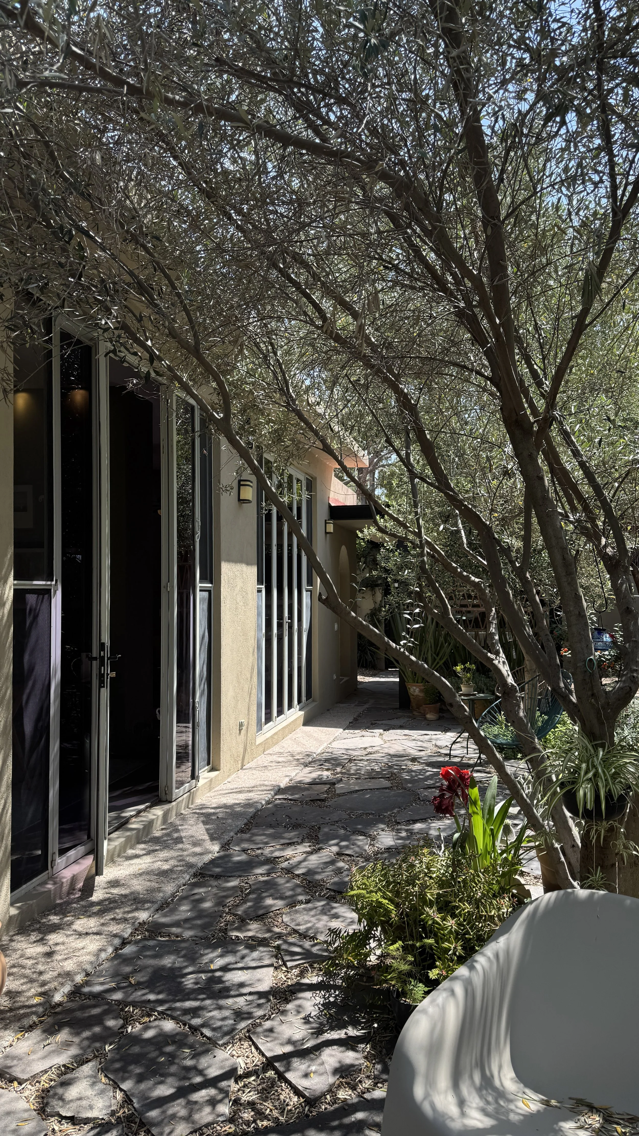 Modern home with garden in the Los Frailes neighborhood of San Miguel de Allende