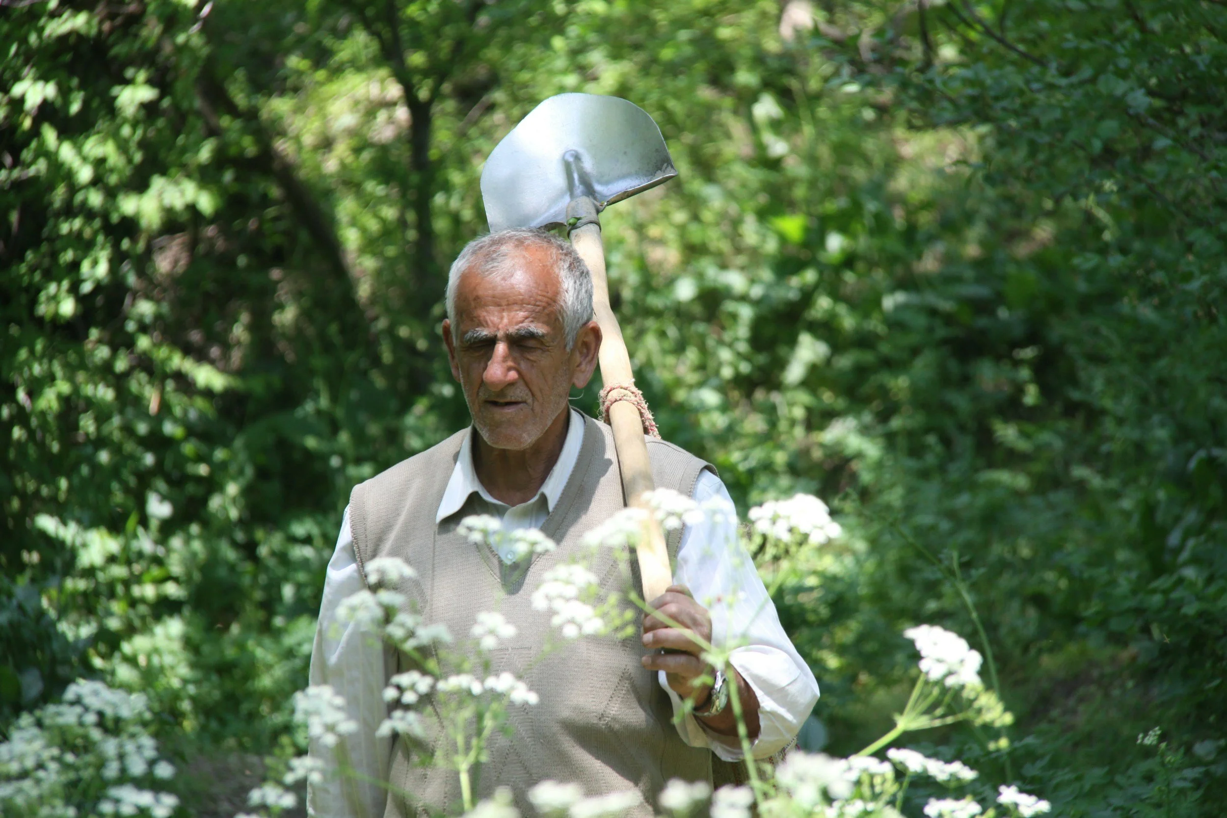 Gardener maintaining a residential garden with a shovel in San Miguel de Allende