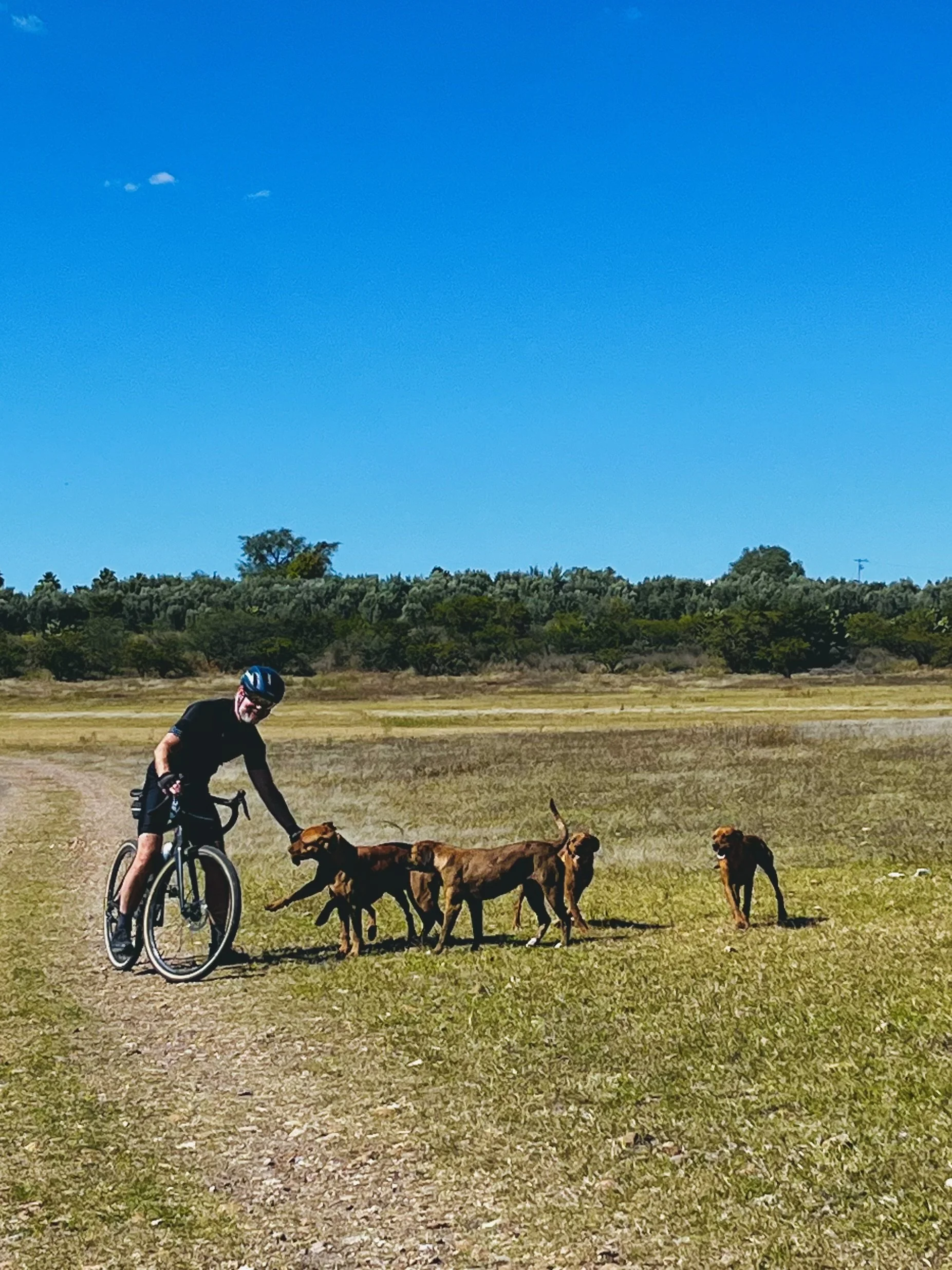 Mountain biking in the countryside around San Miguel de Allende with friendly dogs