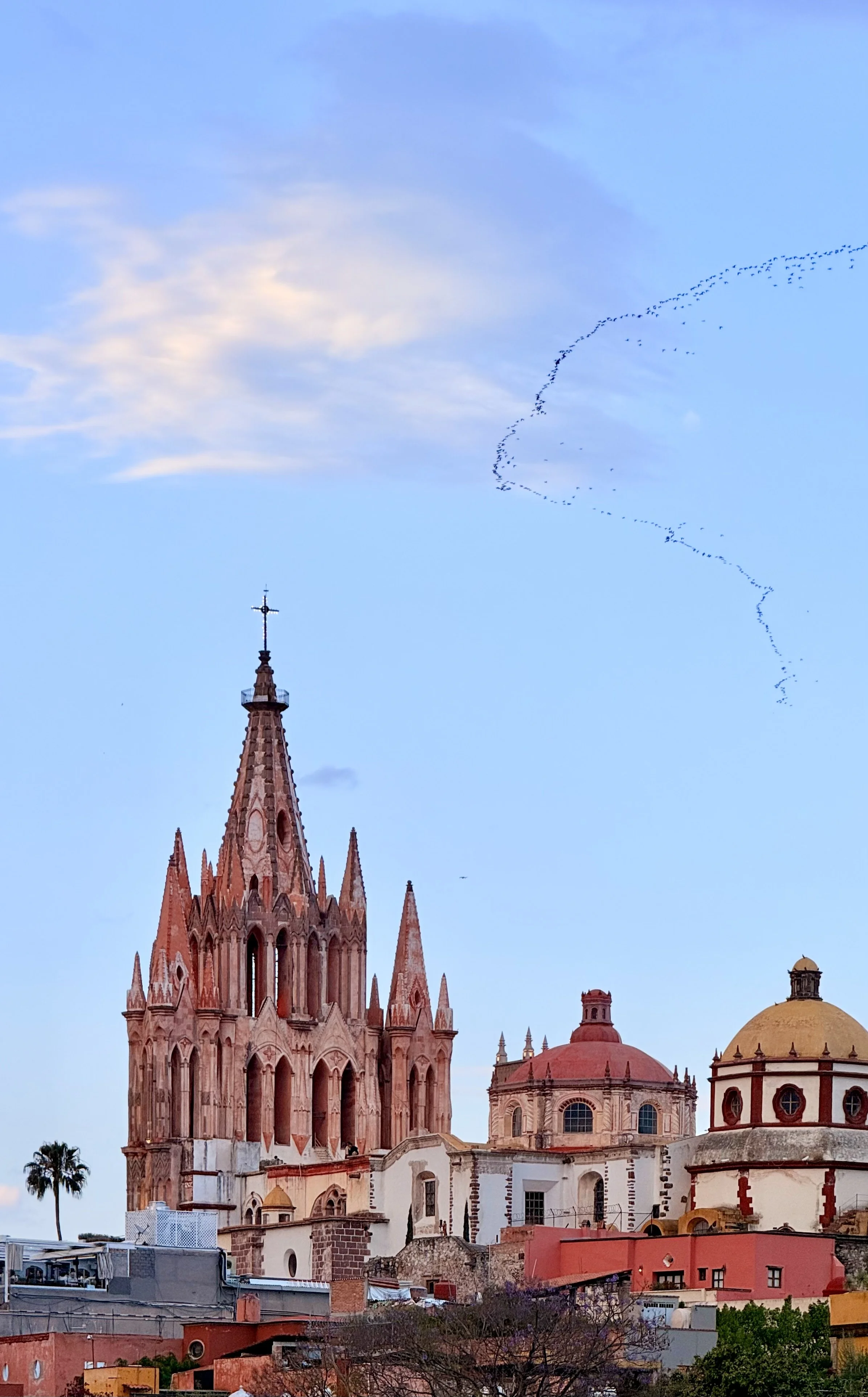 Parroquia de San Miguel Arcángel viewed from a rooftop terrace with surrounding colonial rooftops in San Miguel de Allende
