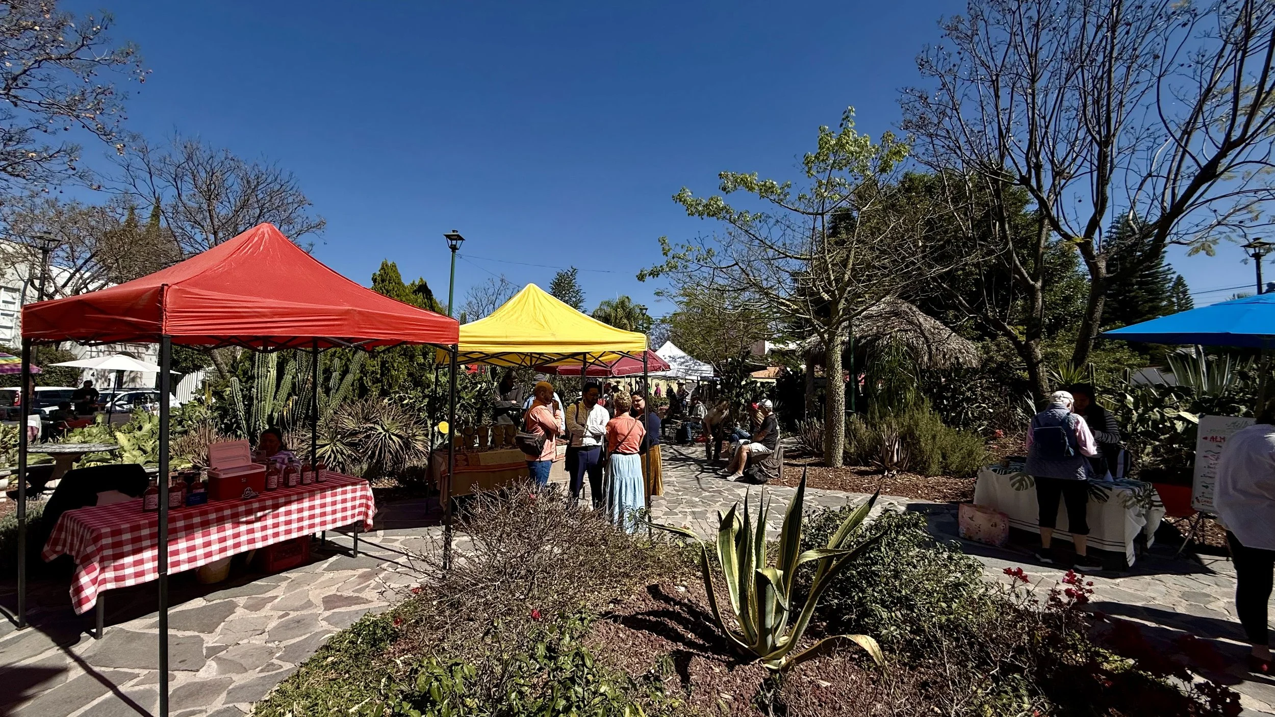 Saturday market in Los Frailes San Miguel de Allende with local vendors and fresh foods