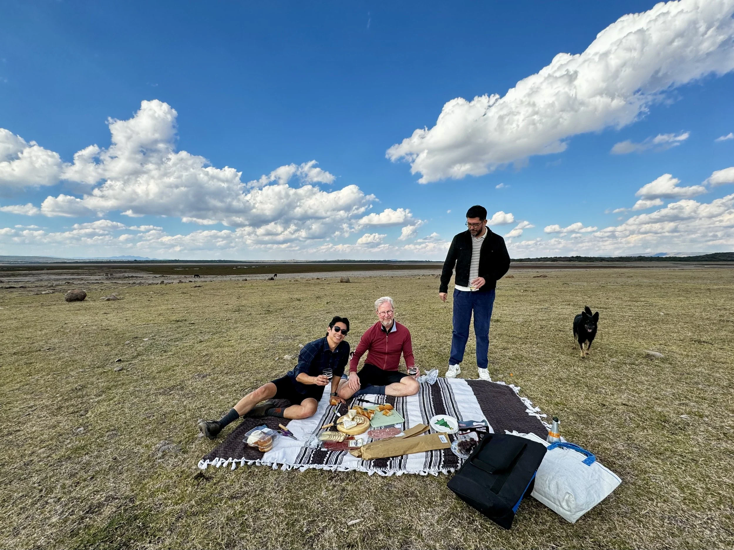 Friends enjoying a picnic in San Miguel de Allende while a dog plays nearby