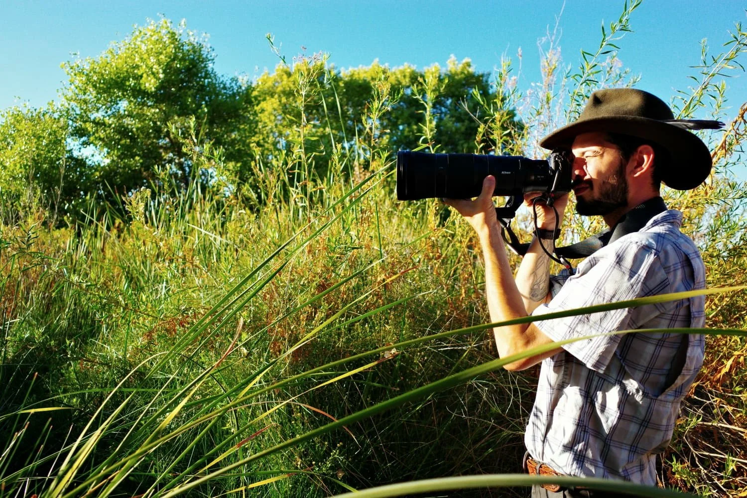 A man with a plaid shirt and wide-brimmed hat taking photographs with a camera in a grassy, wooded area on a sunny day.