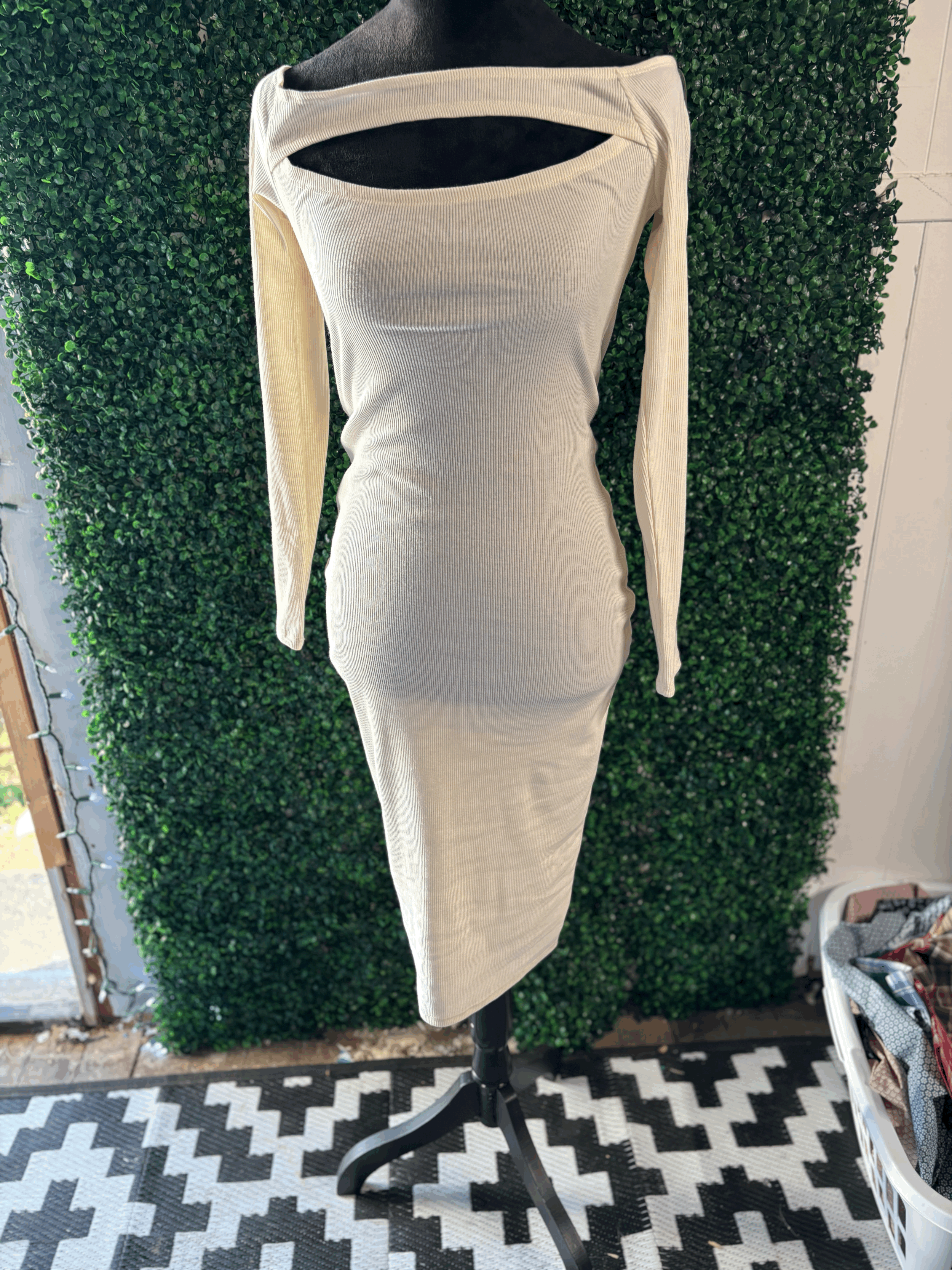 Heart and Hips Dress