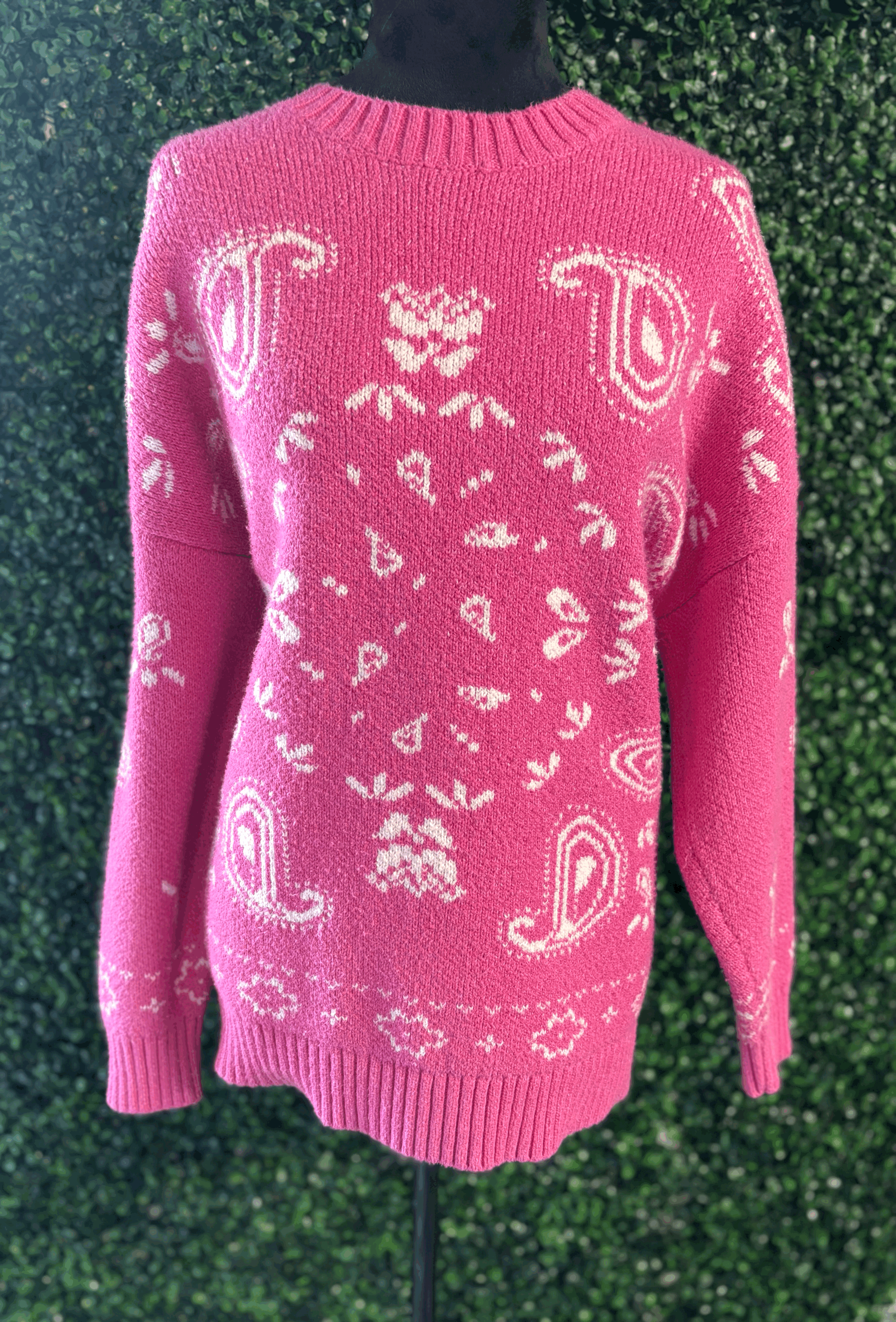 American Eagle Paisley Sweater
