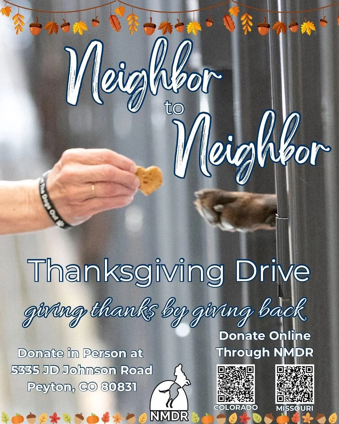 Anyone who wants to participate in this Thanksgiving Drive for @nationalmilldogrescue - Let&rsquo;s team up! I could pick up anything you want to donate. Just DM me!