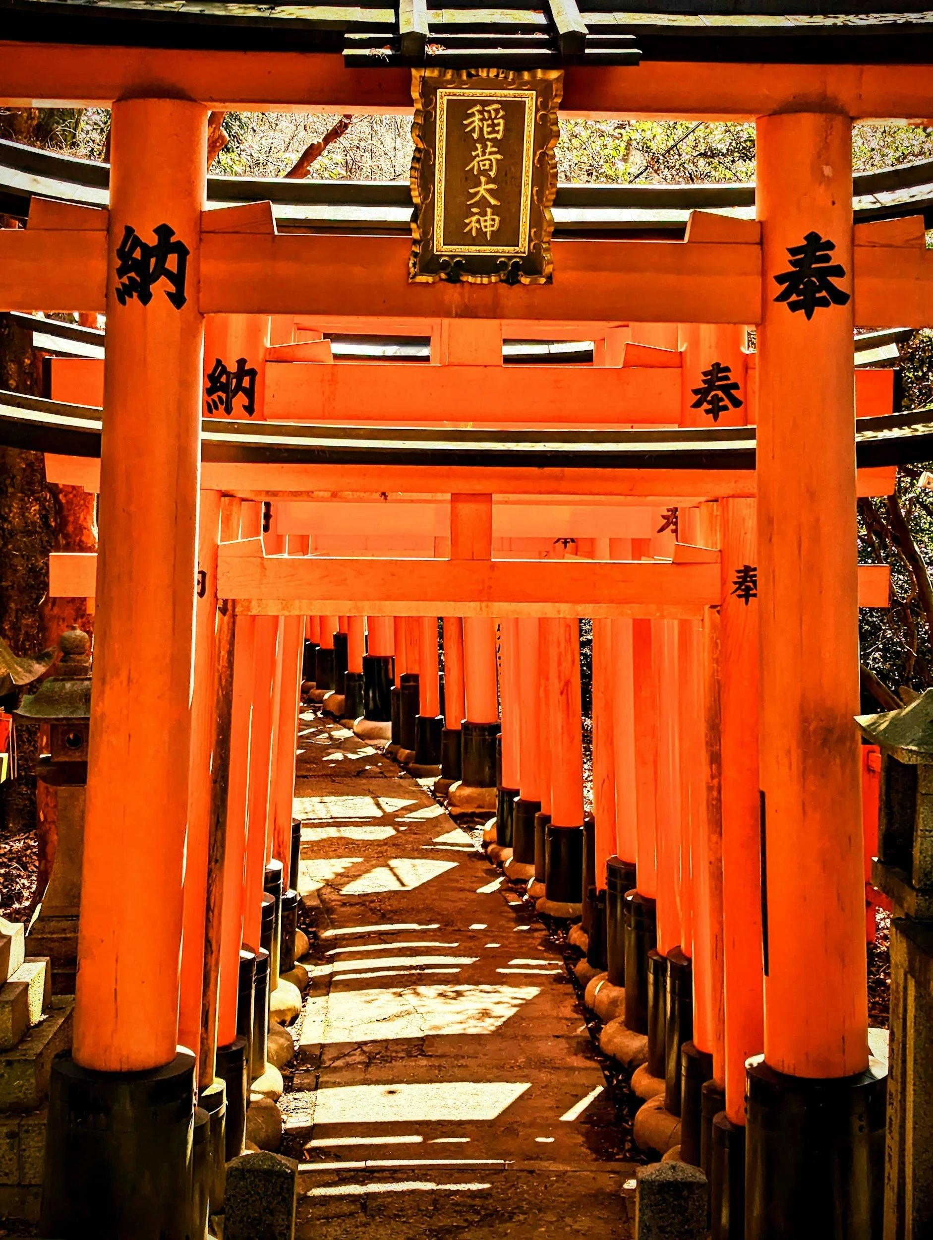 Row of multiple red torii gates forming a pathway at a Japanese shrine, with shadows cast on the ground.