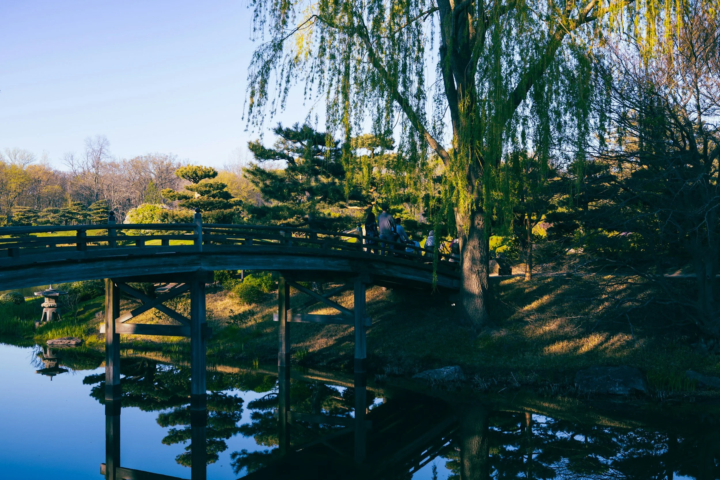 A serene park scene with a wooden bridge over a calm body of water. Several people are walking and sitting on the bridge, shaded by large trees with hanging branches. The scene is illuminated by sunlight, creating reflections on the water and casting shadows on the ground.