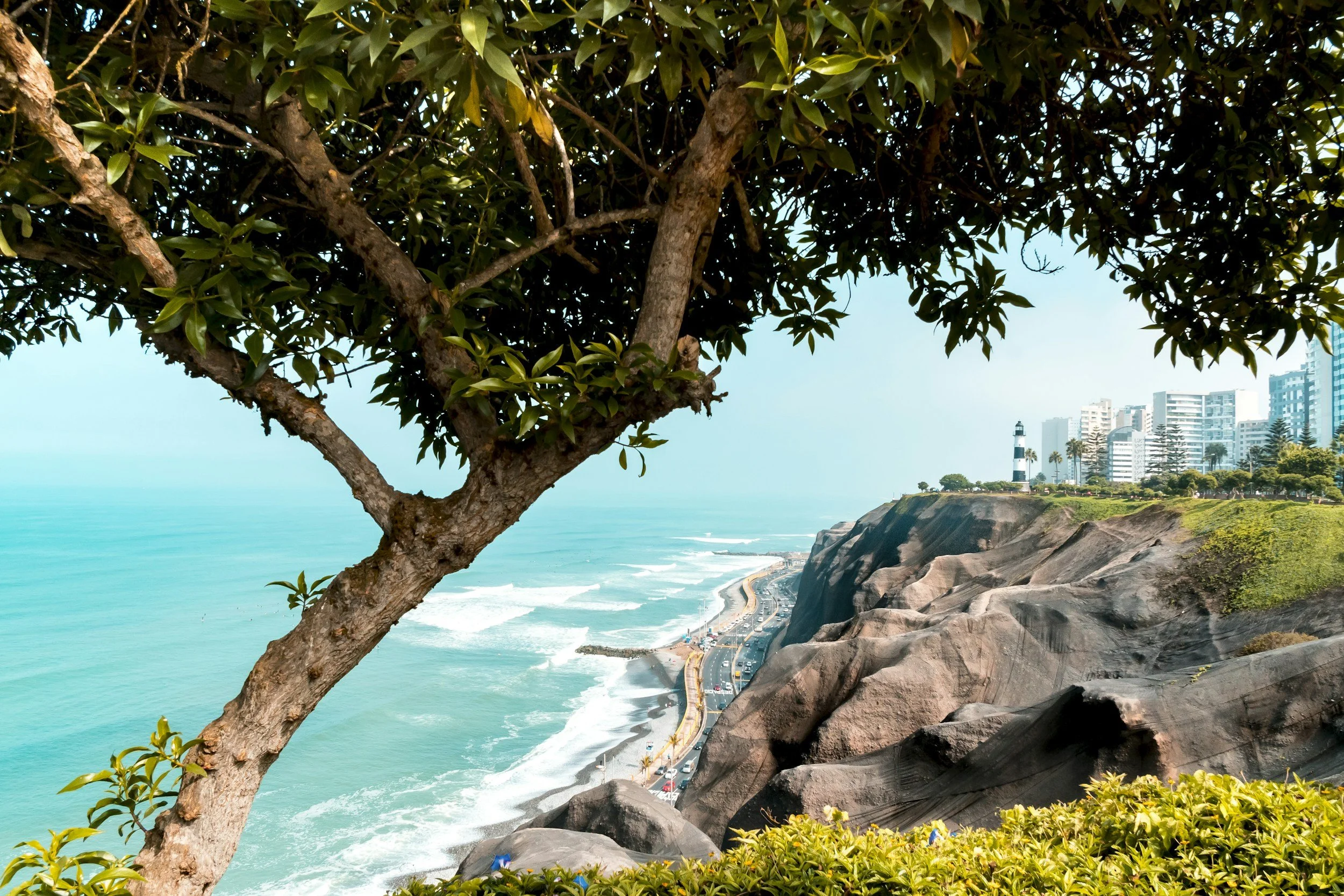 View of a coastal city with a lighthouse on a hill, overlooking the ocean and a winding road along the cliffs with high-rise buildings in the background, framed by a tree in the foreground.