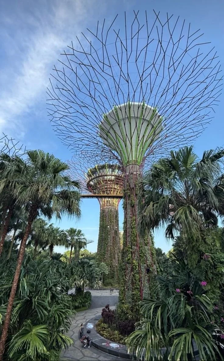 Two large futuristic tree structures with wide, umbrella-shaped tops and intricate branches, surrounded by lush greenery and palm trees, under a blue sky.