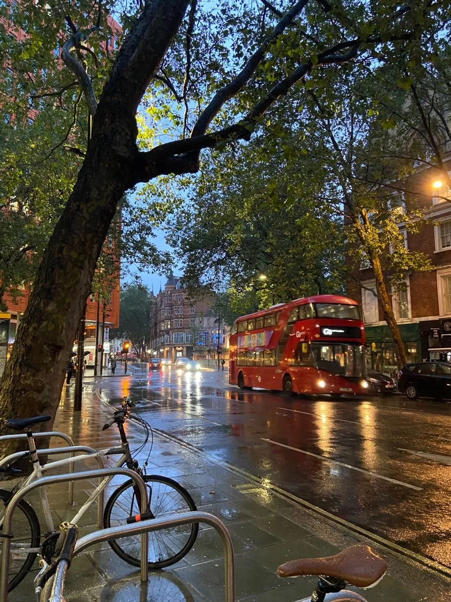 A rainy evening street scene in a city, with a red double-decker bus passing by on the wet road. There are bicycles parked at a bike rack on the sidewalk, trees lining the street, and buildings with lit windows. The sky is dark, and streetlights cast a warm glow on the wet pavement.