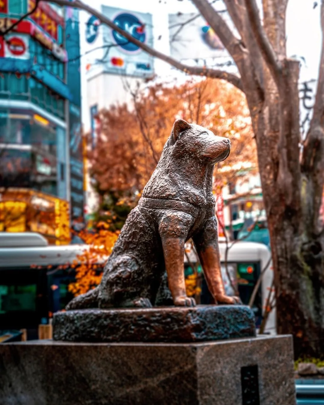 hachiko dog statue in the fall in Tokyo, Japan.