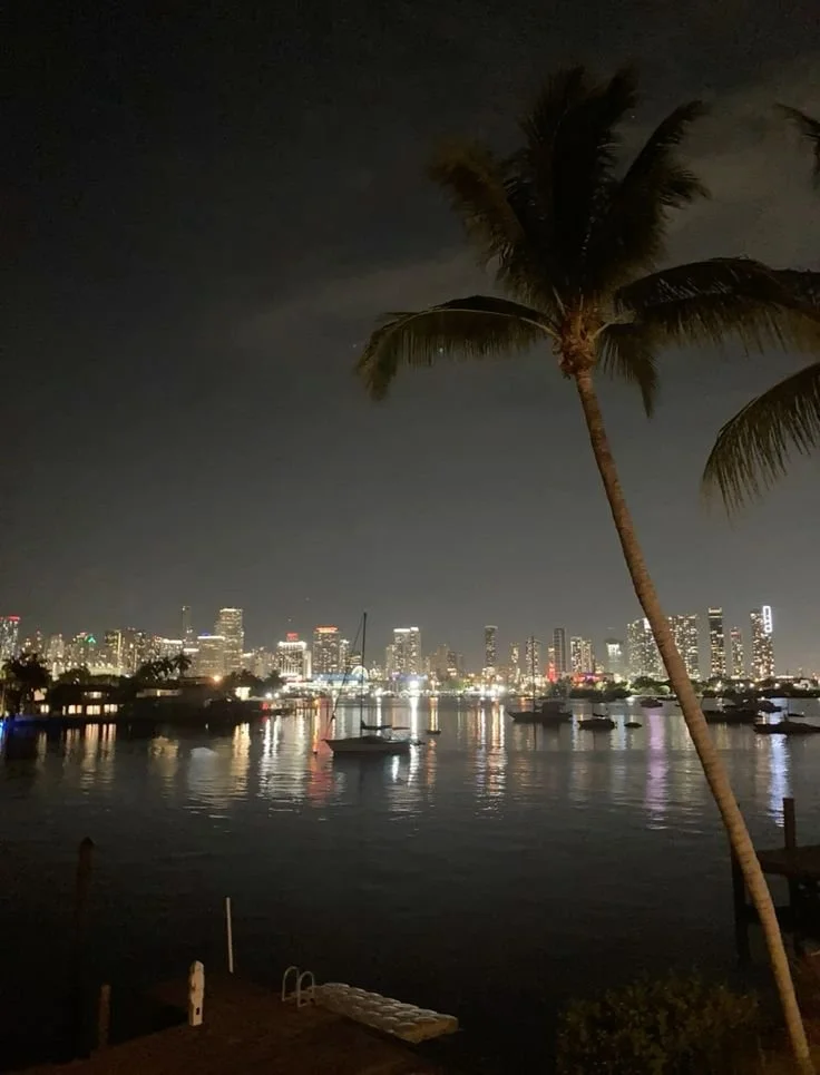 Southbeach Miami bay view at night palm trees Florida