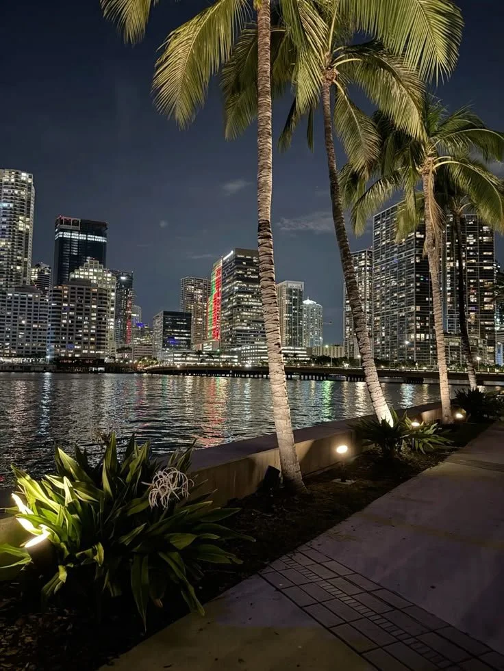 Miami city lights at night in front of tall palm trees aesthetic