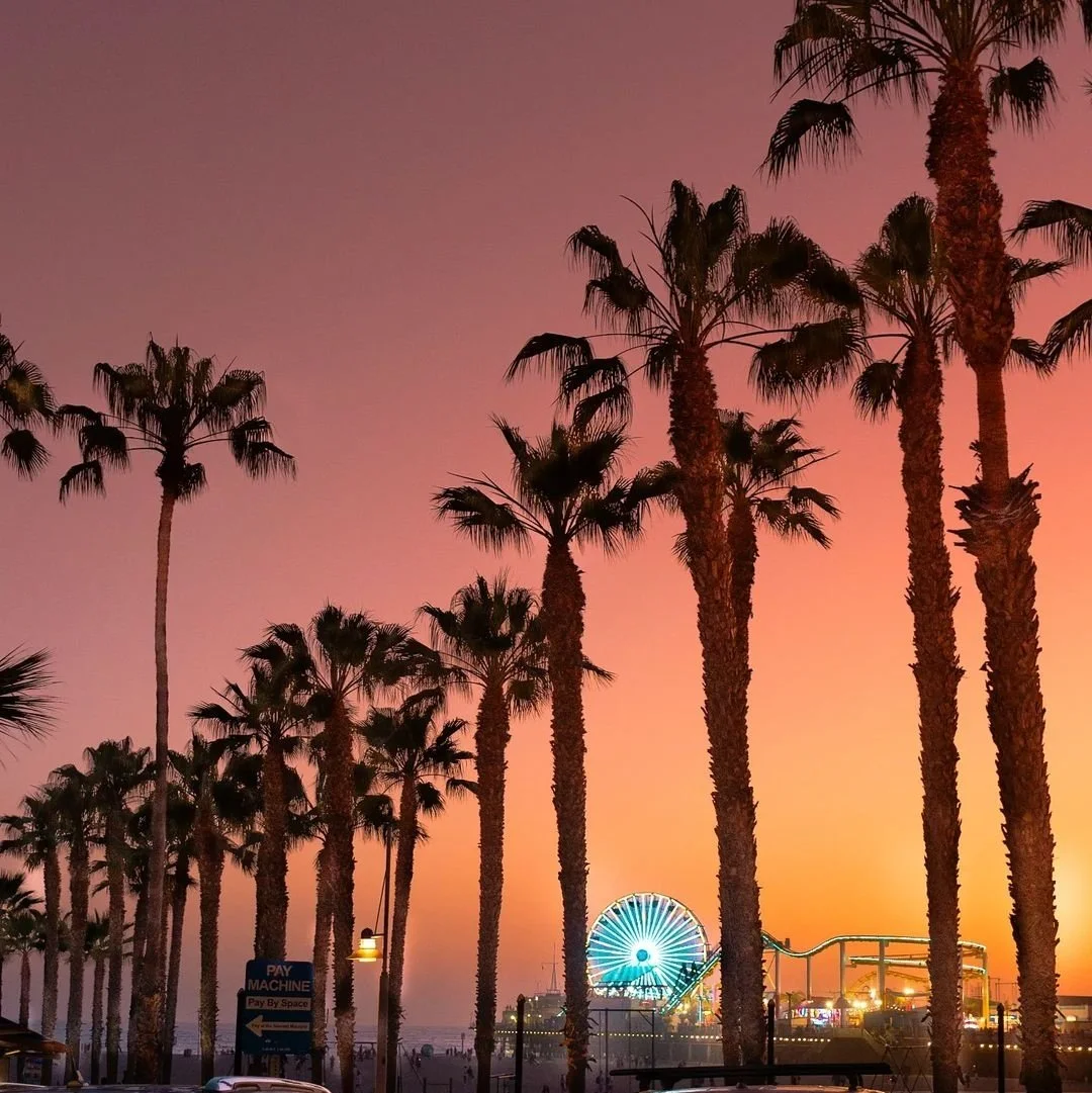 Palm trees along a beachfront at sunset with a Ferris wheel and amusement park rides in the background.