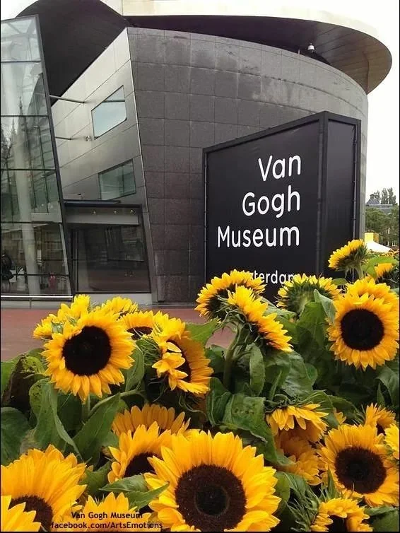 Explore the Vang Gogh Museum and it's style in Amsterdam netherlands