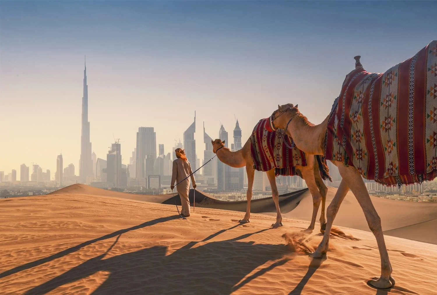 A man leading camels covered with colorful blankets across sand dunes with a city skyline, including the Burj Khalifa, in the background.