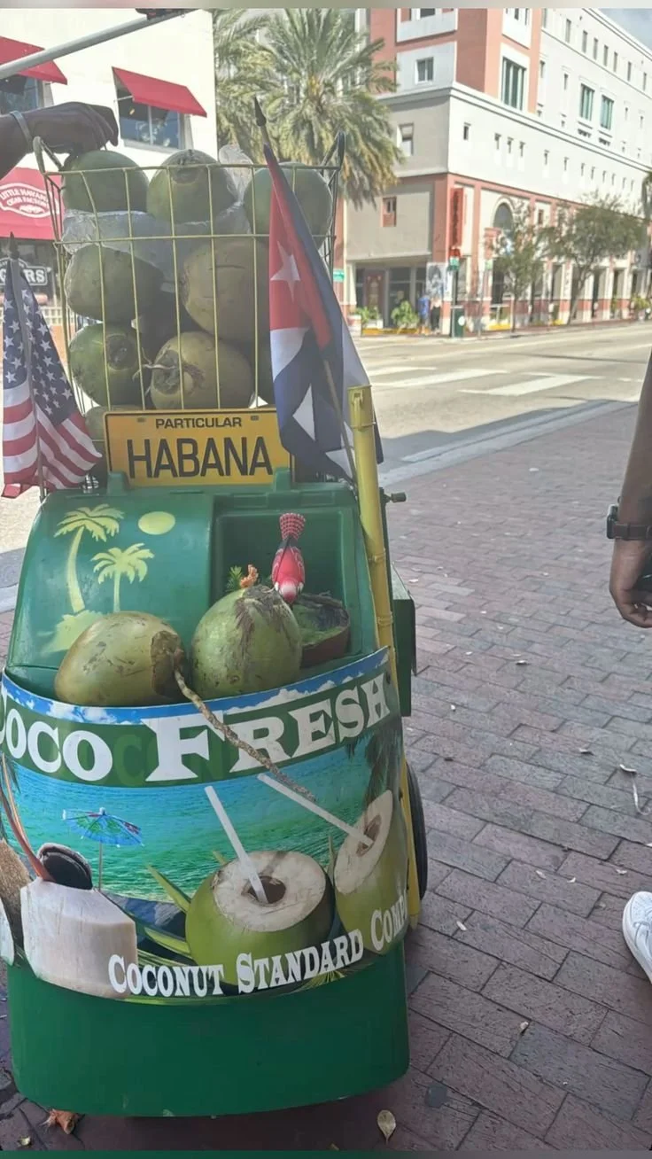 Fresh Coconut stand in little Havana in Miami, Florida
