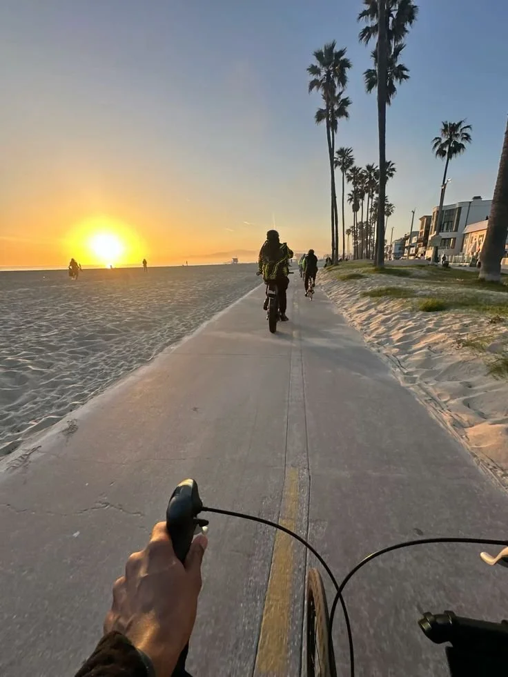 Biking on a beachside path during sunset with palm trees and people in the background.
