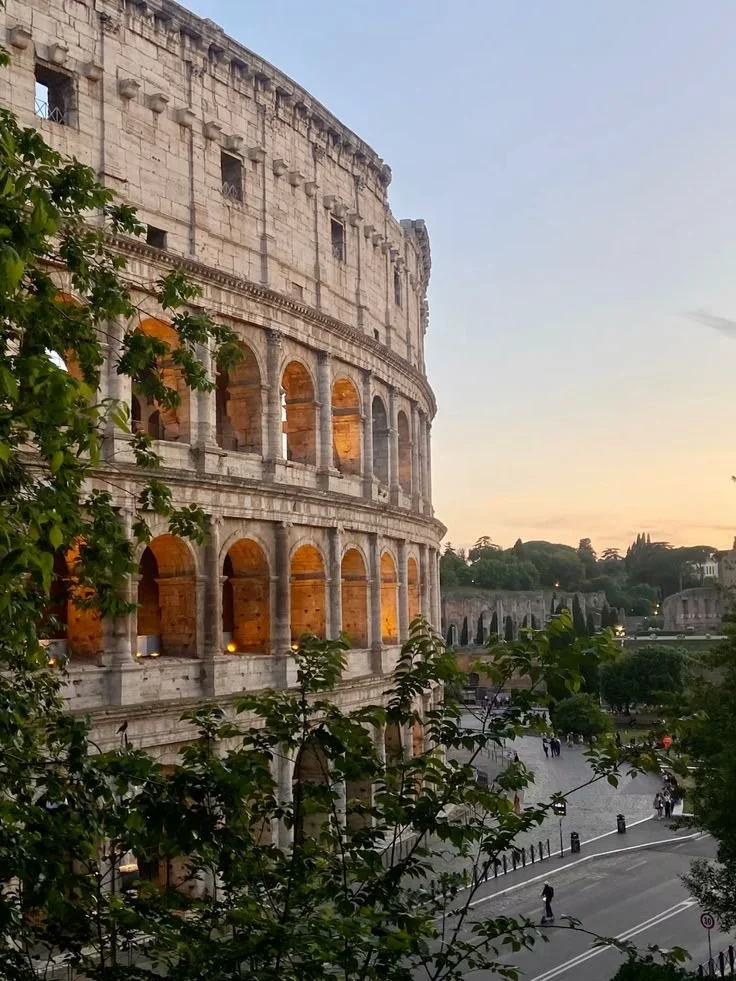 iconic colosseum next to an olive tree in Rome, Italy.