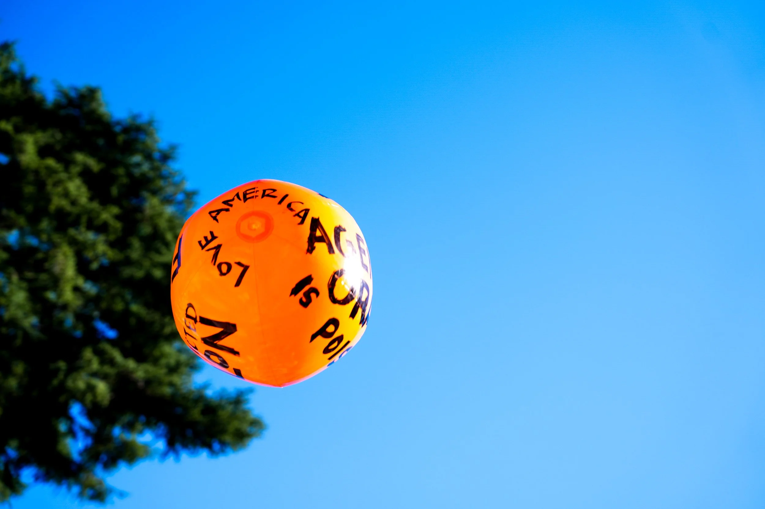 No kings protest. Sacramento, CA