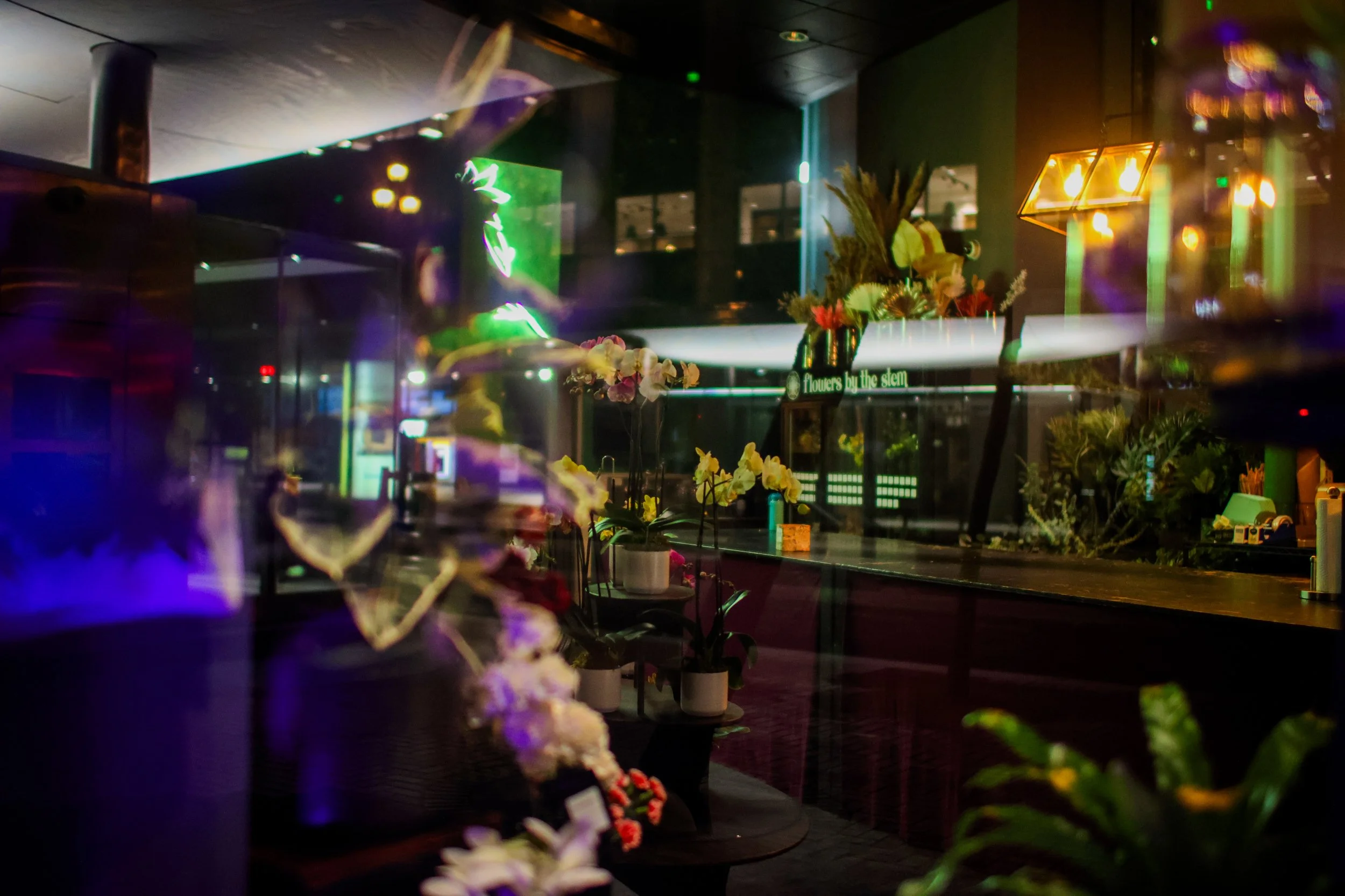 ©Denis Akbari 34.JPG