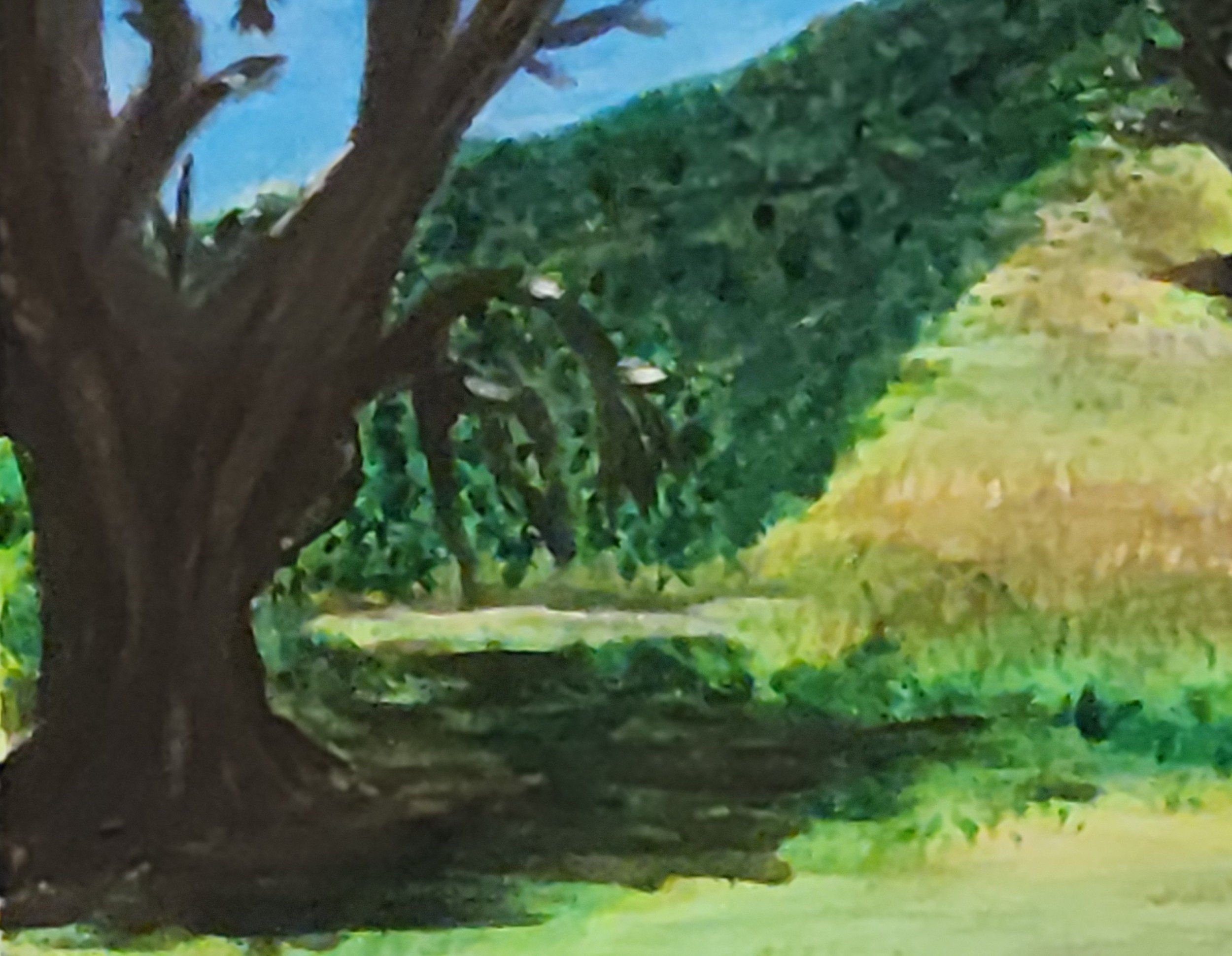 Little House 2026 close 1.jpeg