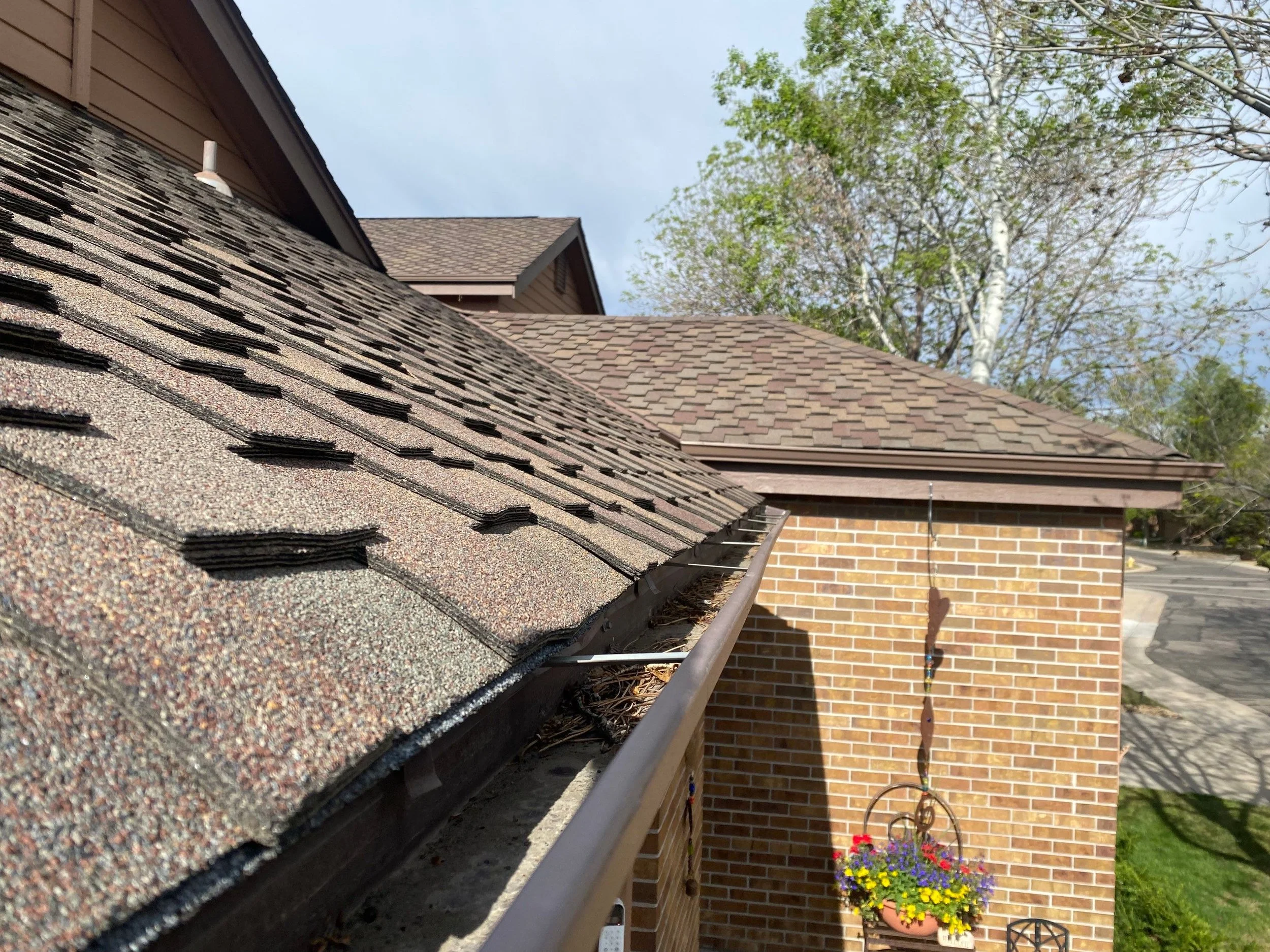 Old gutter filled with leaves and roof debris along an asphalt-shingle roof.