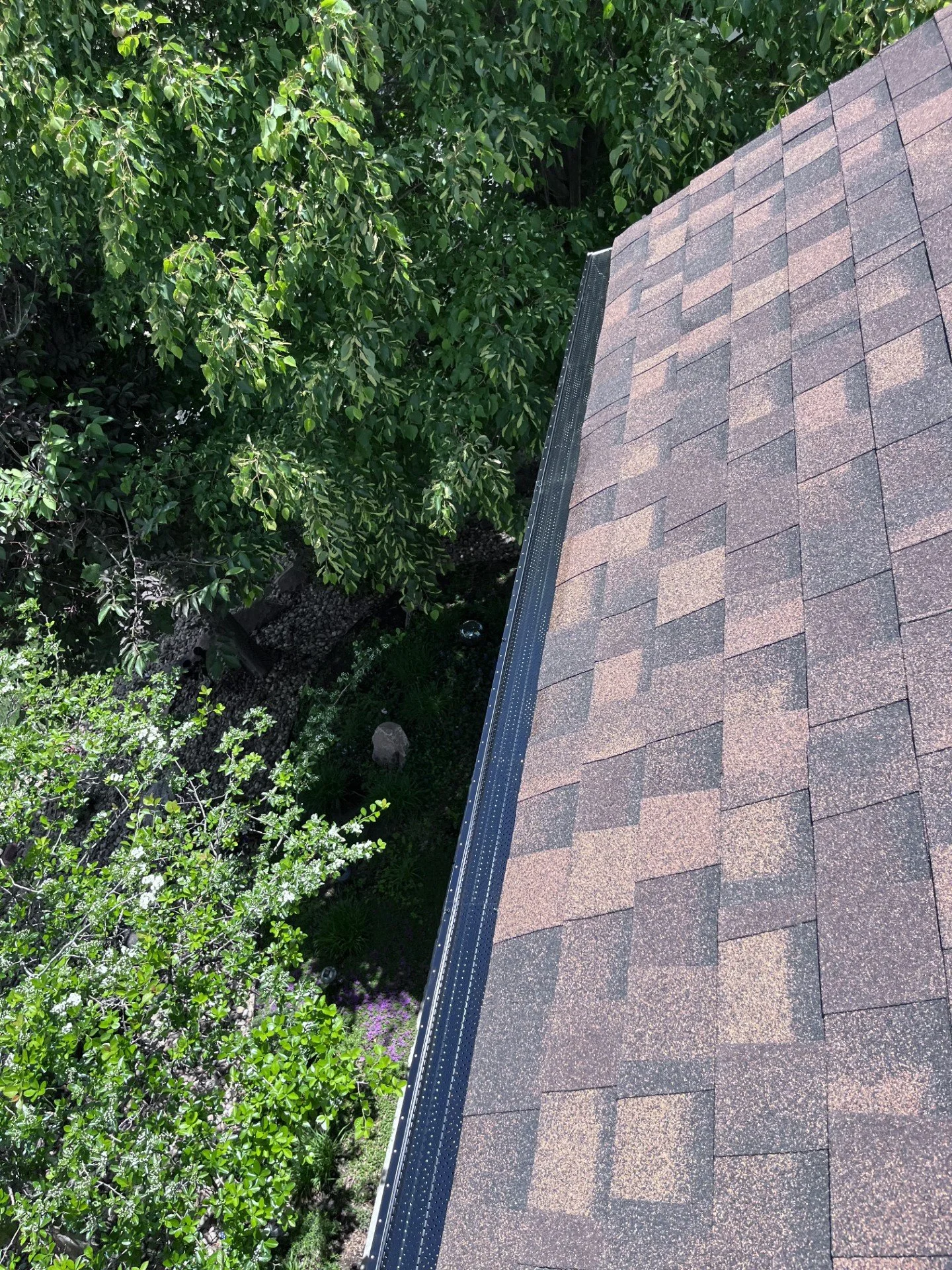View from a rooftop showing brown asphalt shingles, a black metal gutter, and green trees and bushes below.