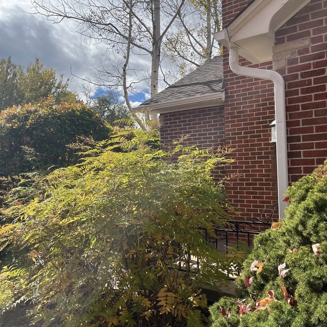 New seamless gutter and downspout installation on a brick home surrounded by mature landscaping.