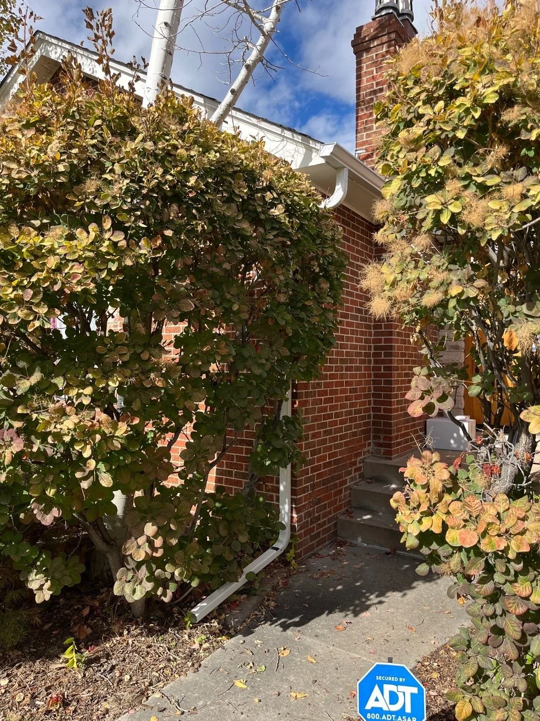 Seamless gutter and downspout system installed along a shaded brick exterior.