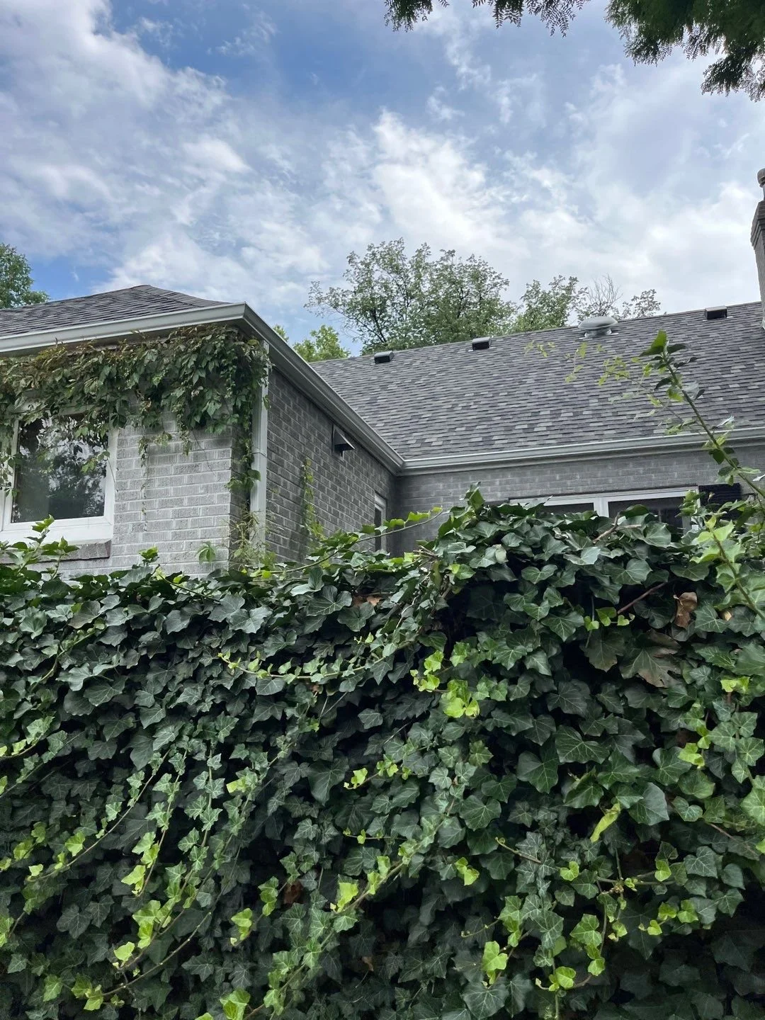 Seamless gutters installed on a light-colored home surrounded by mature landscaping.
