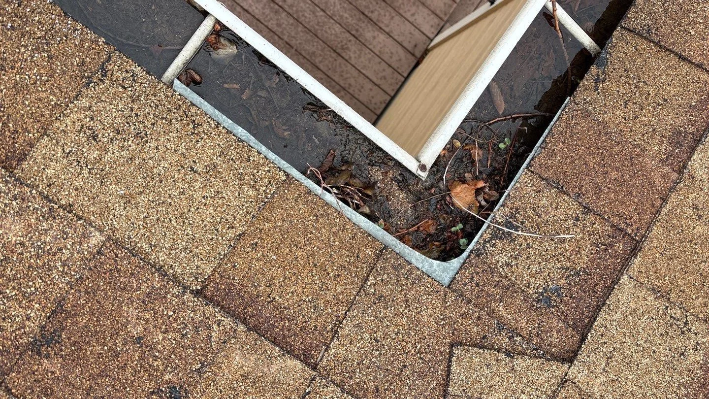 Leaves, debris, and standing water collected inside a gutter at a residential roof valley.