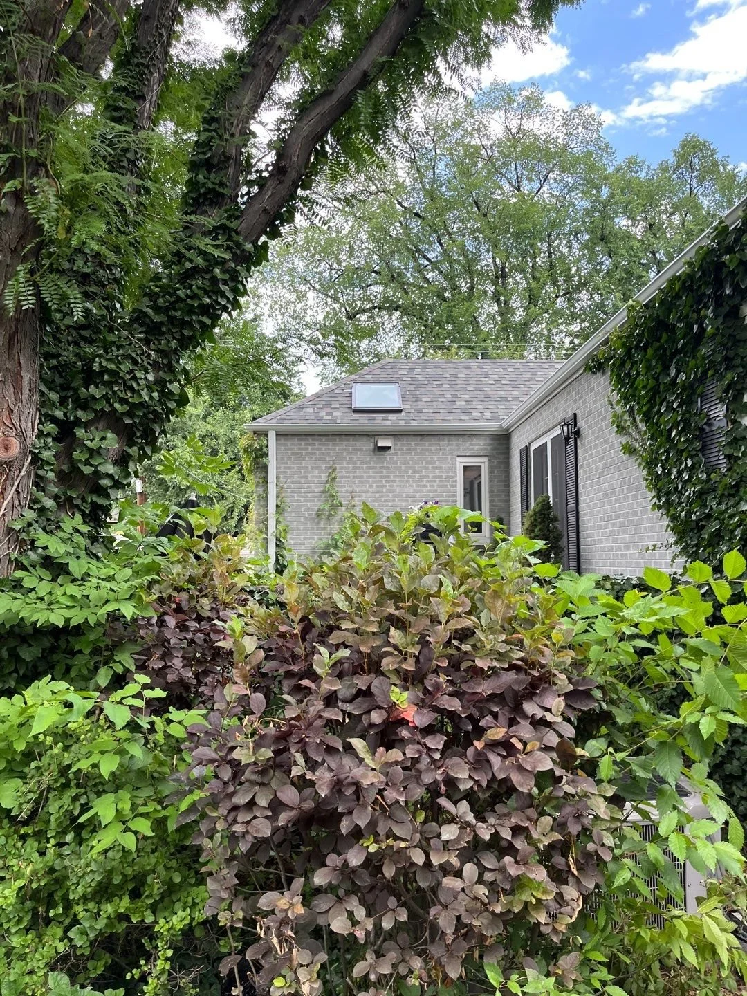 Residential gutter system installed on a small home with dense trees and shrubs.