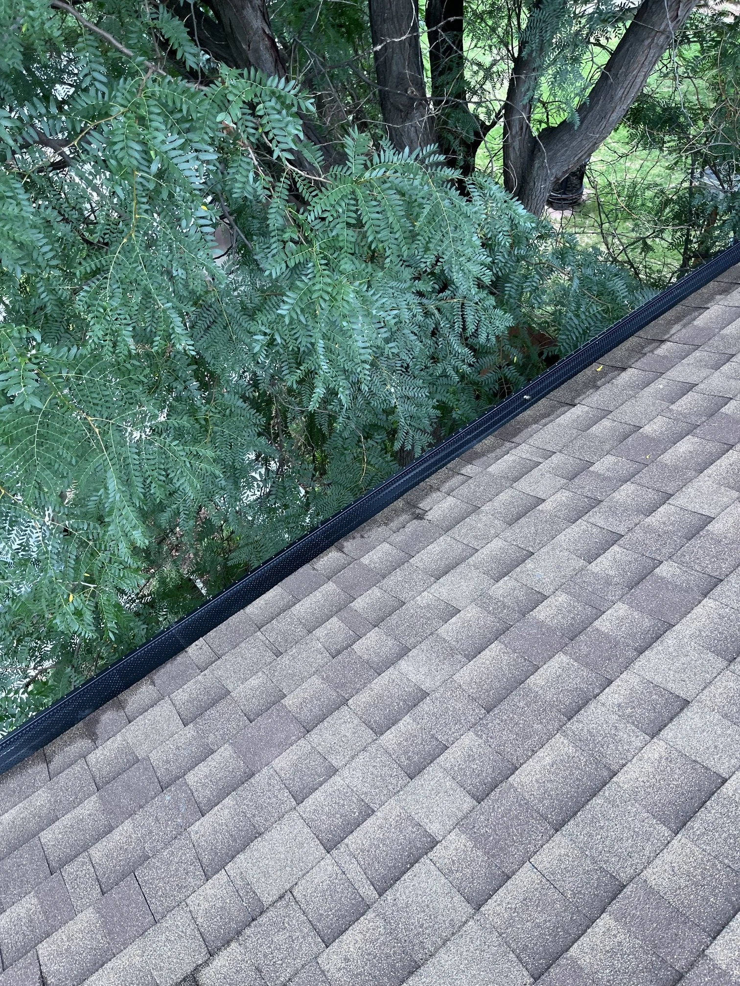 Real Gutter Covers installed beneath overhanging tree branches to help reduce leaf buildup.